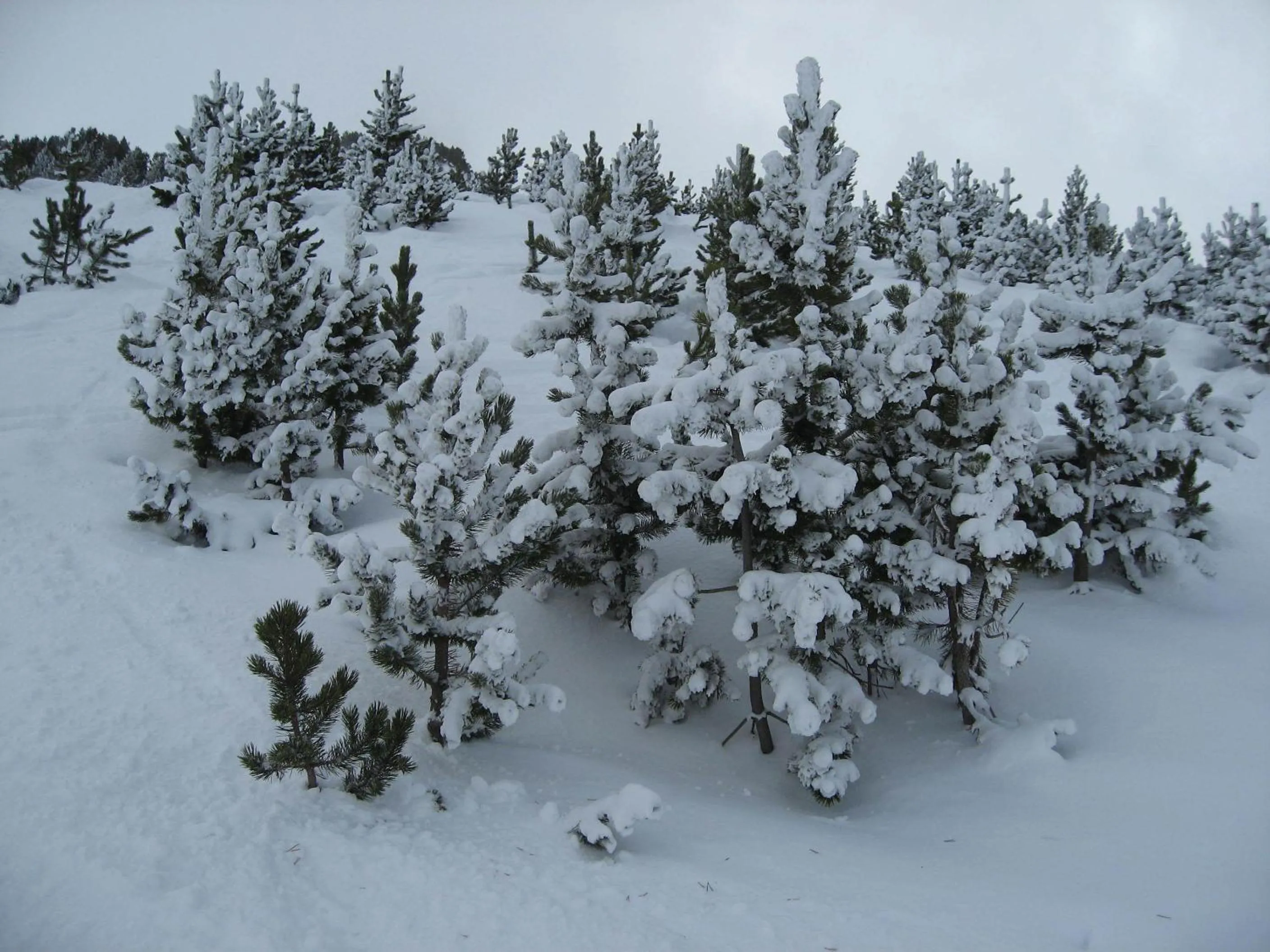 Skiing in Hotel Casado