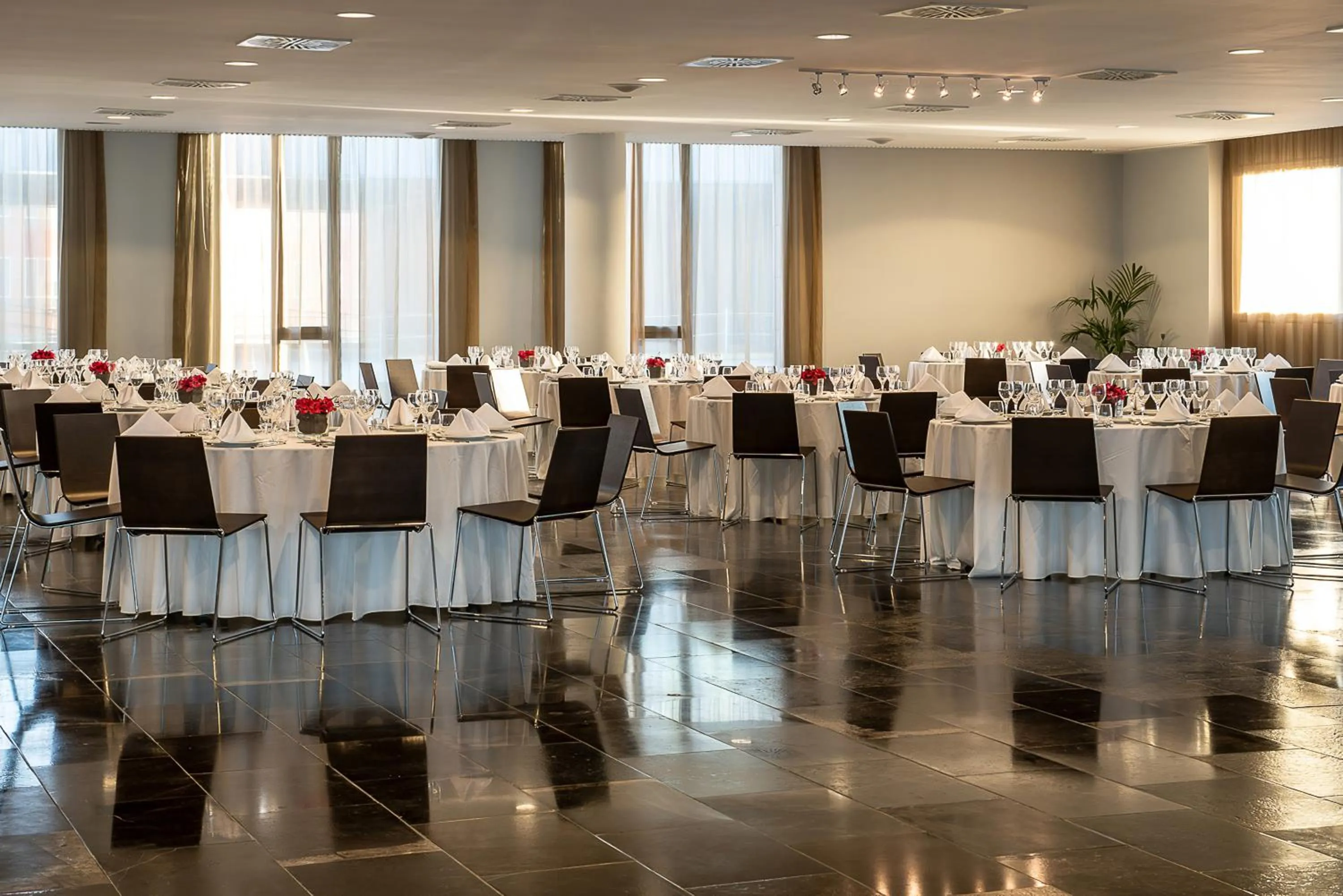 Banquet/Function facilities in Hotel Diagonal Plaza