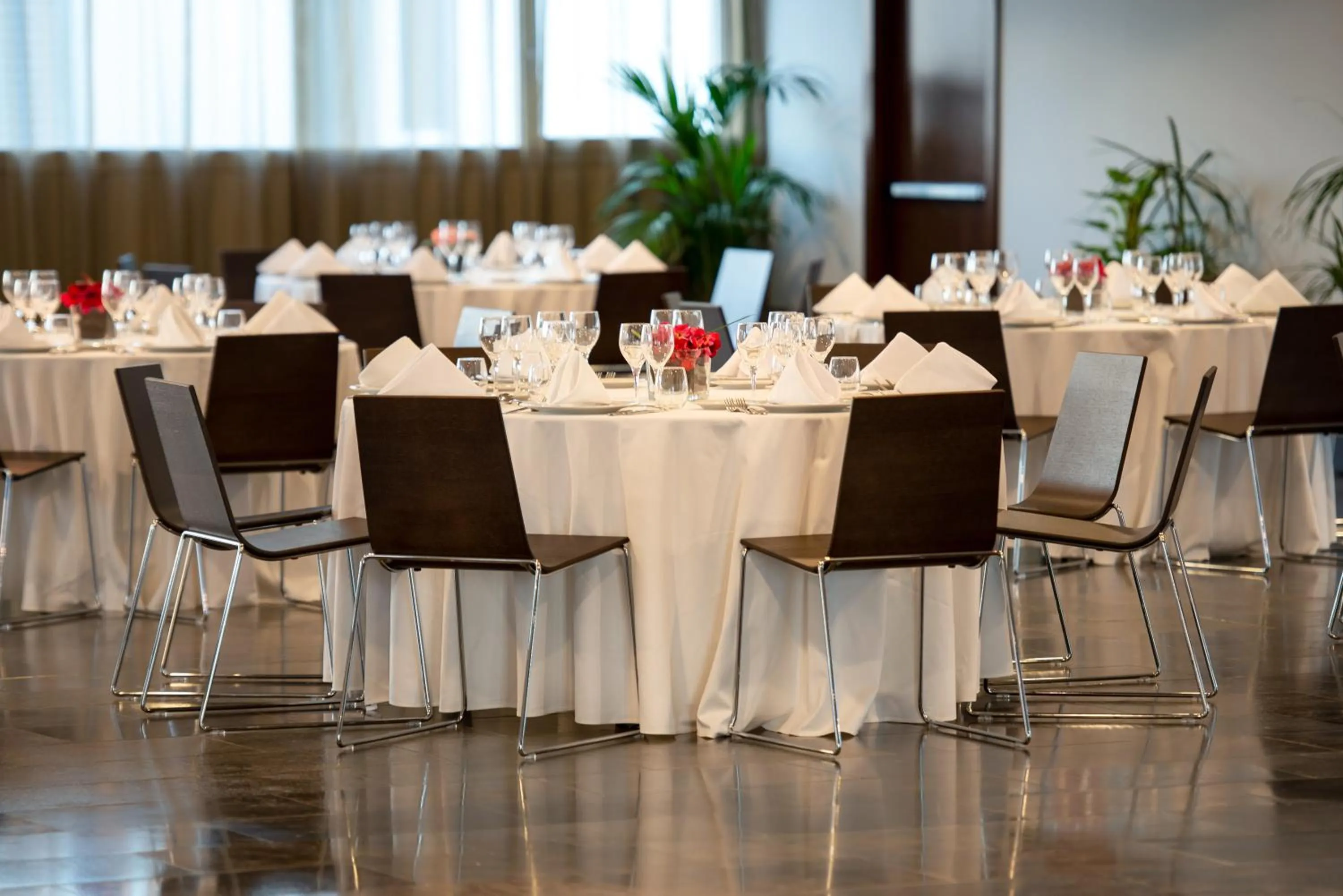 Banquet/Function facilities in Hotel Diagonal Plaza