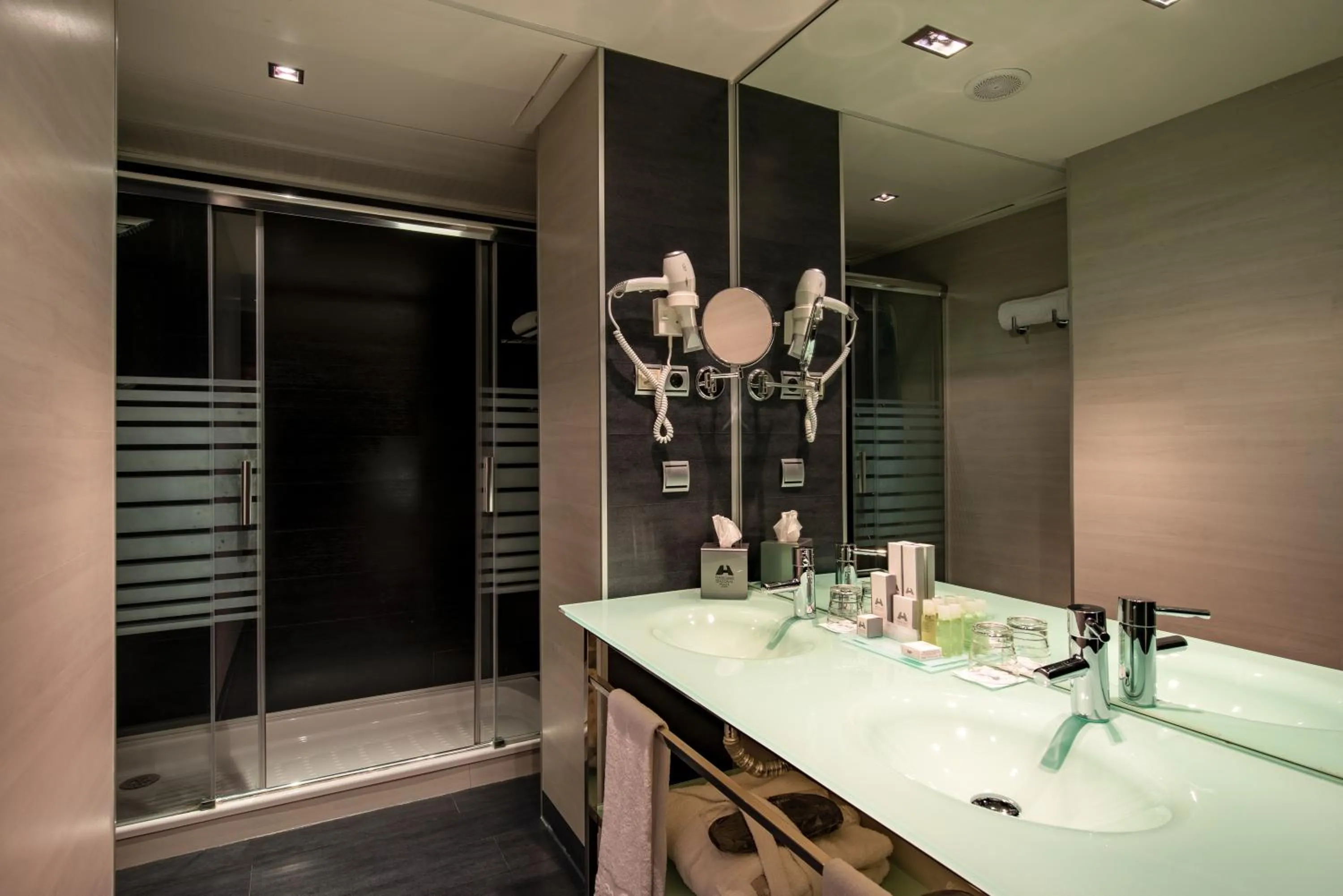 Shower in Hotel Diagonal Plaza