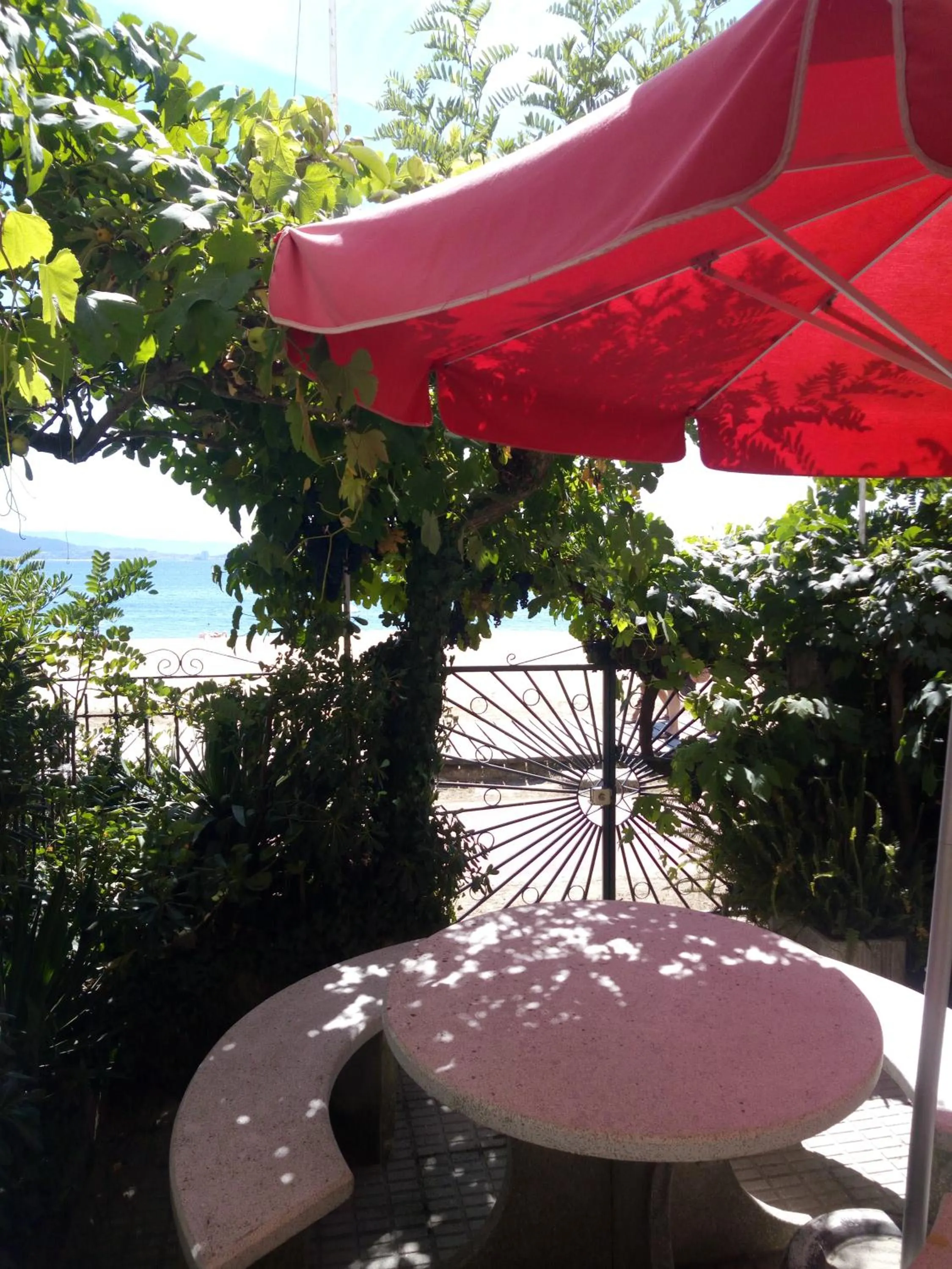 Garden in Hotel Playa