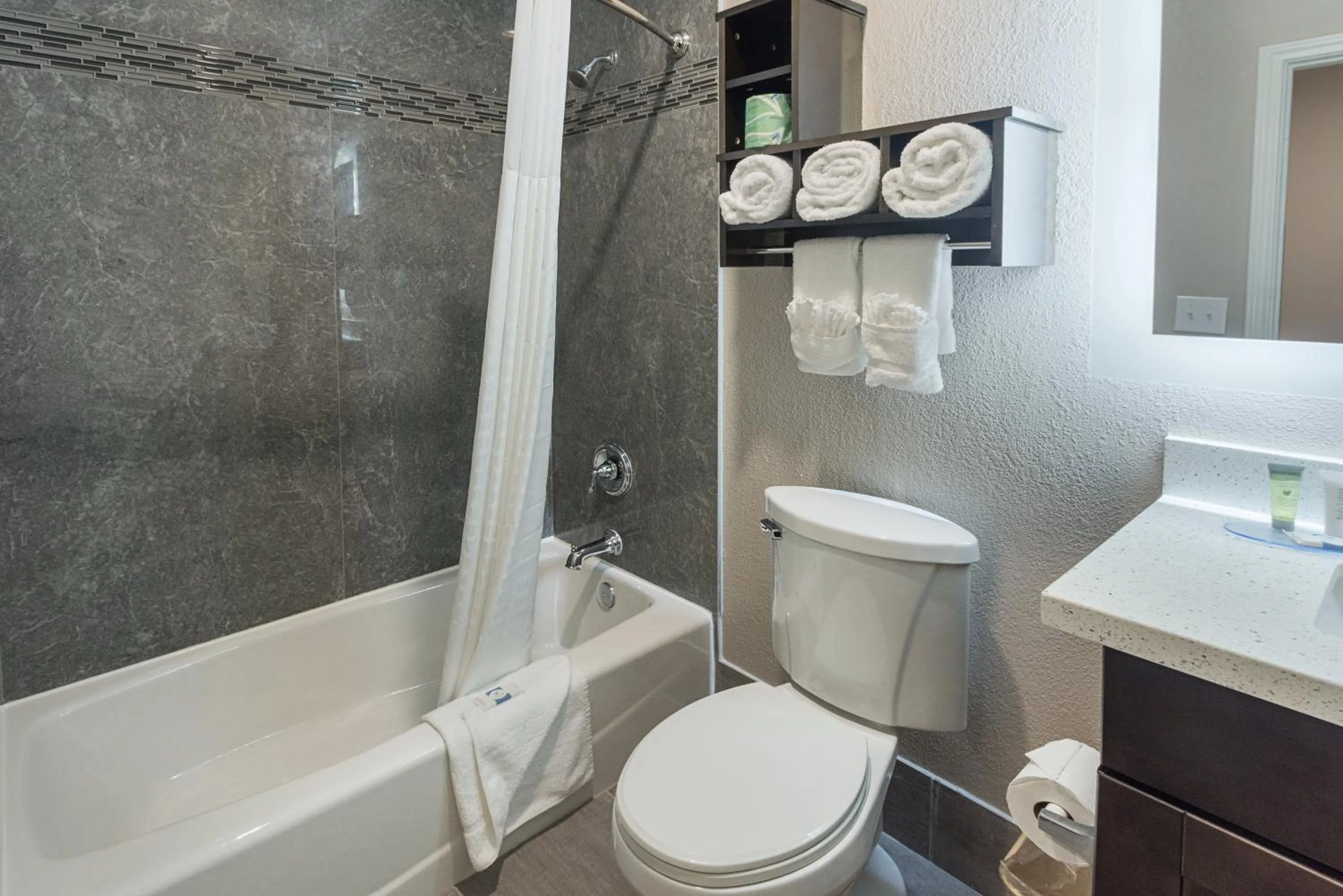 Shower in Econo Lodge Inn & Suites Houston NW-Cy-Fair