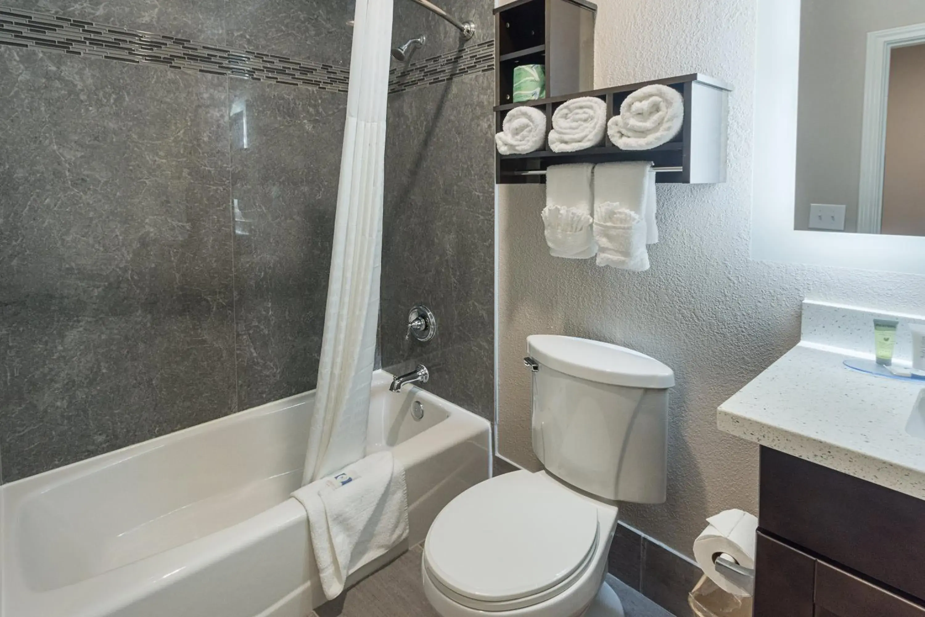 Shower, Bathroom in Econo Lodge Inn & Suites Houston