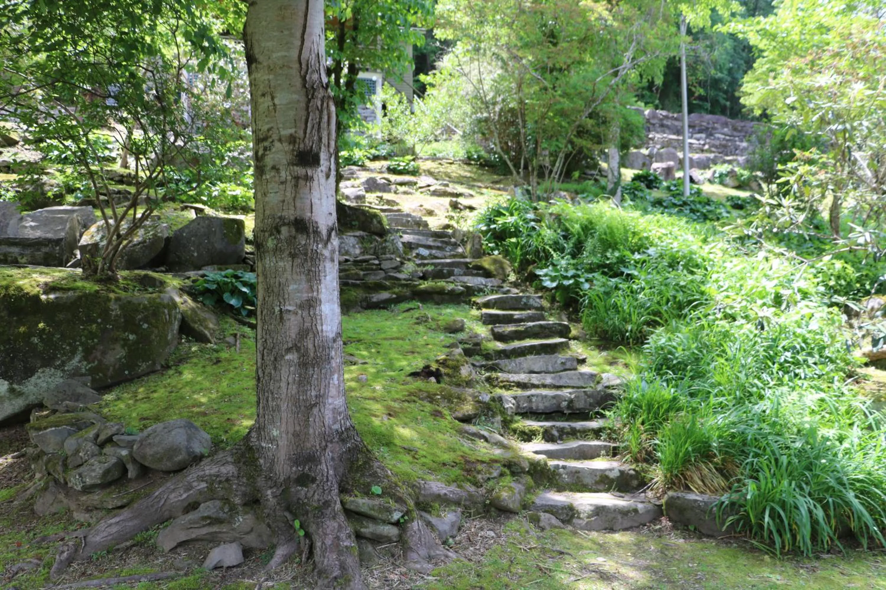 Garden in Historic Tapoco Lodge Resort