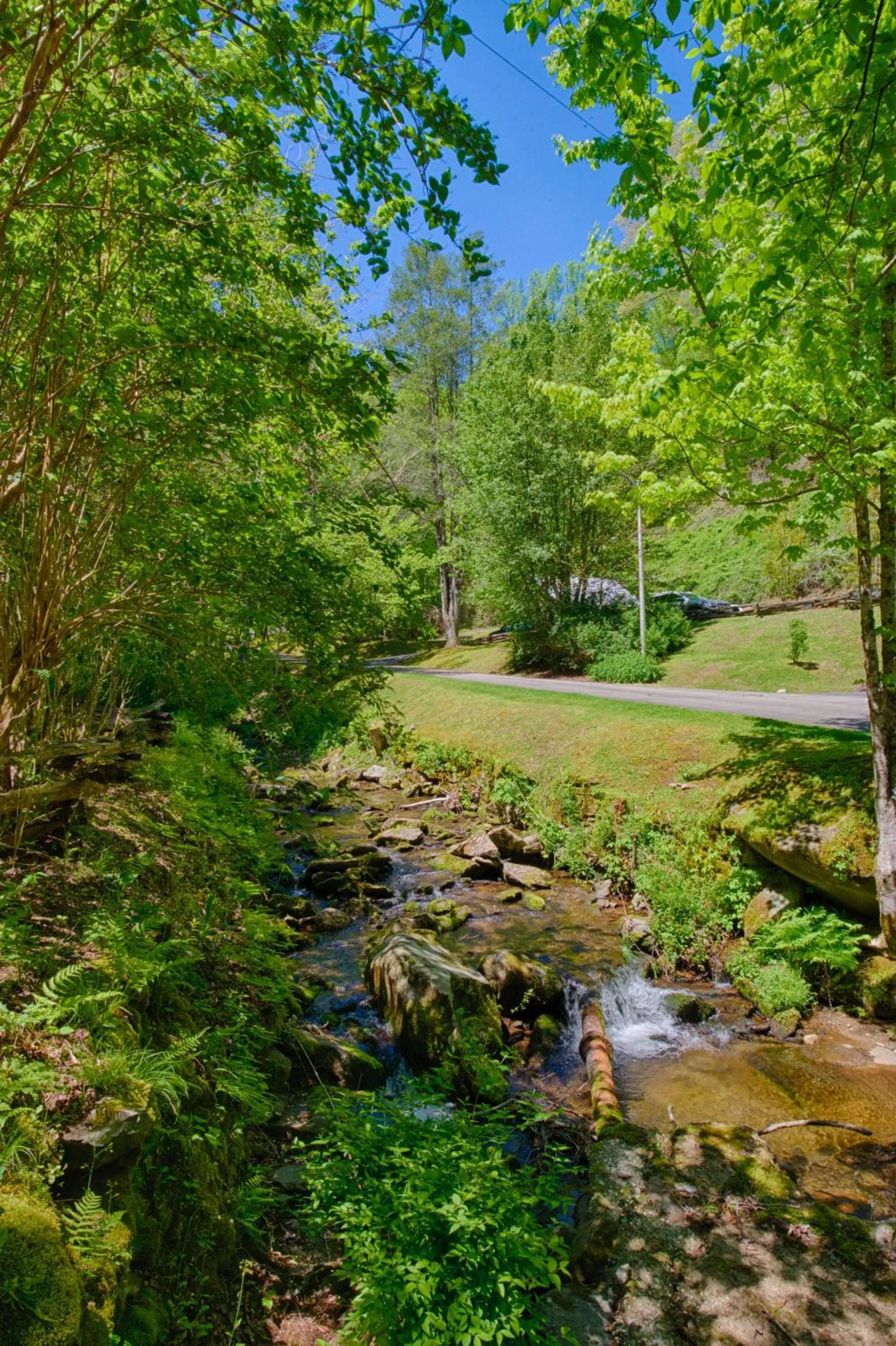 View (from property/room) in Historic Tapoco Lodge Resort