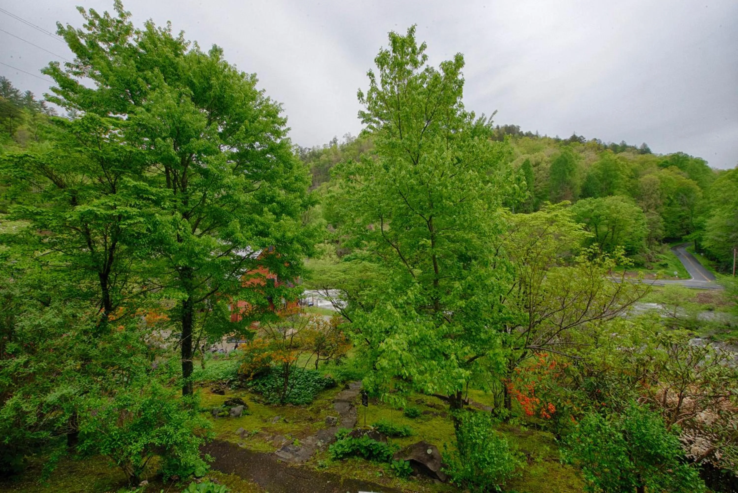 Spring in Historic Tapoco Lodge Resort