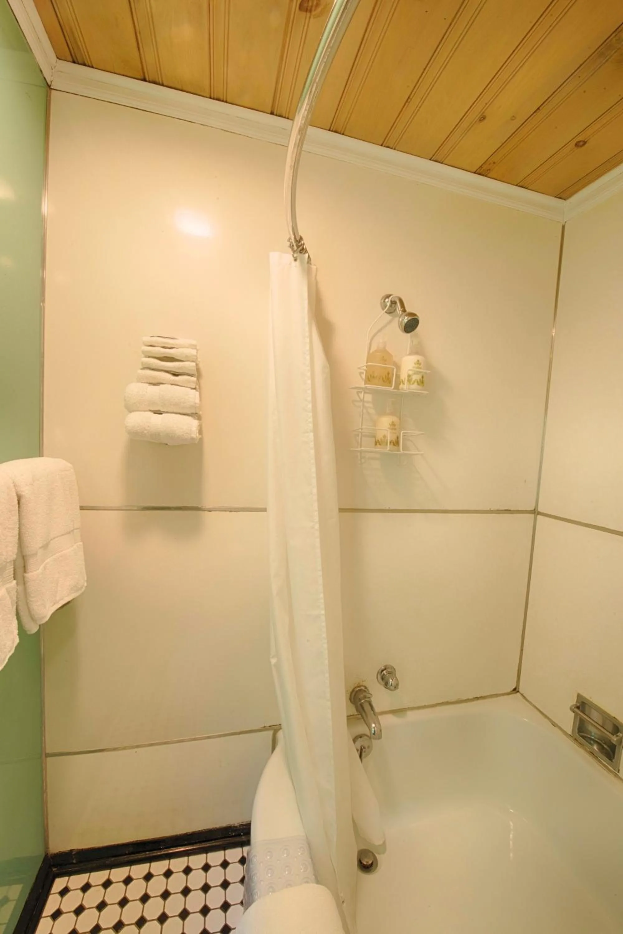 Shower in Historic Tapoco Lodge Resort