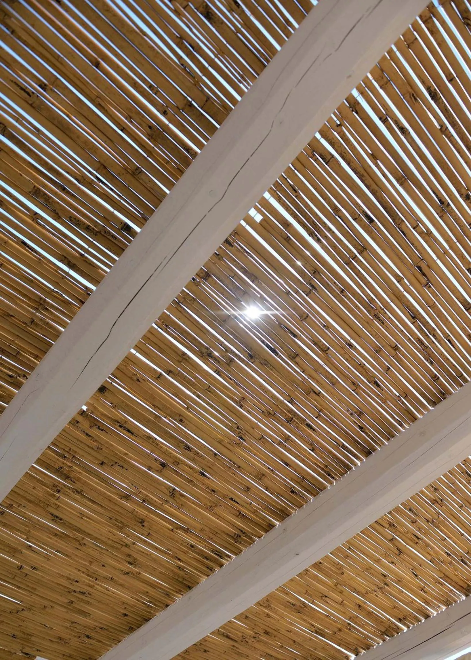 Balcony/Terrace in Palazzo Kapece