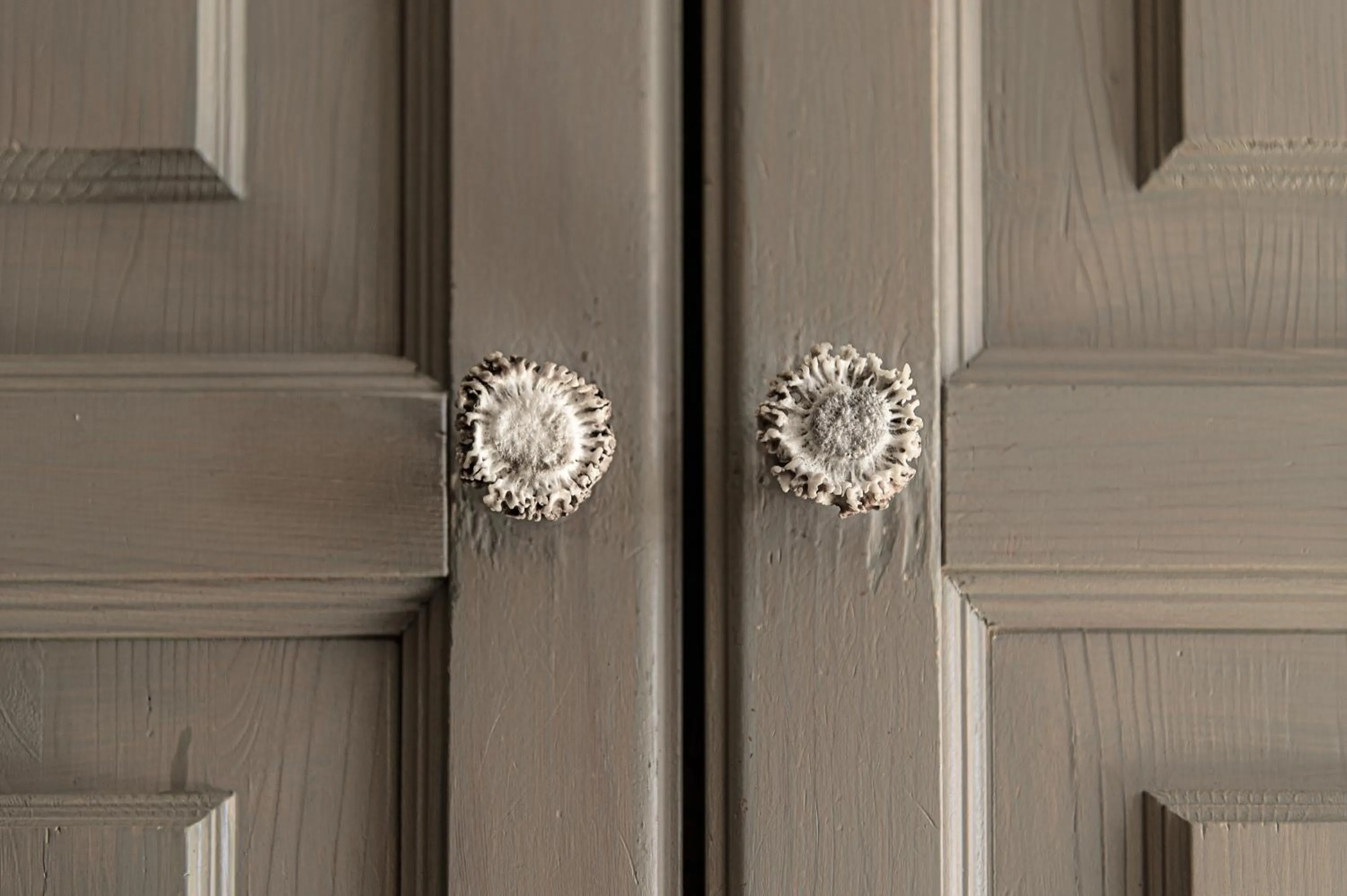 Property building in Bio Hotel Hermitage