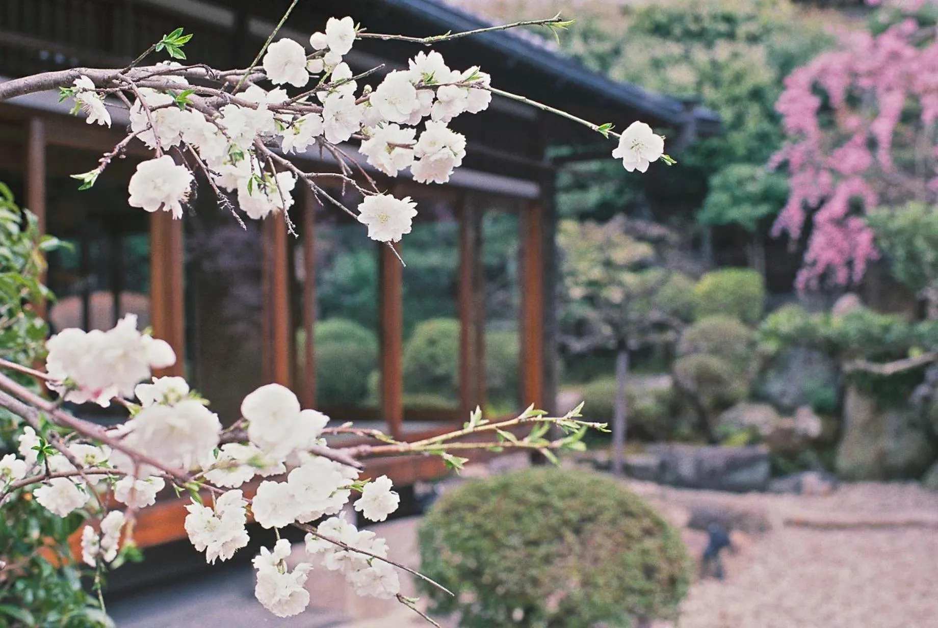 Spring in Ryokan Genhouin