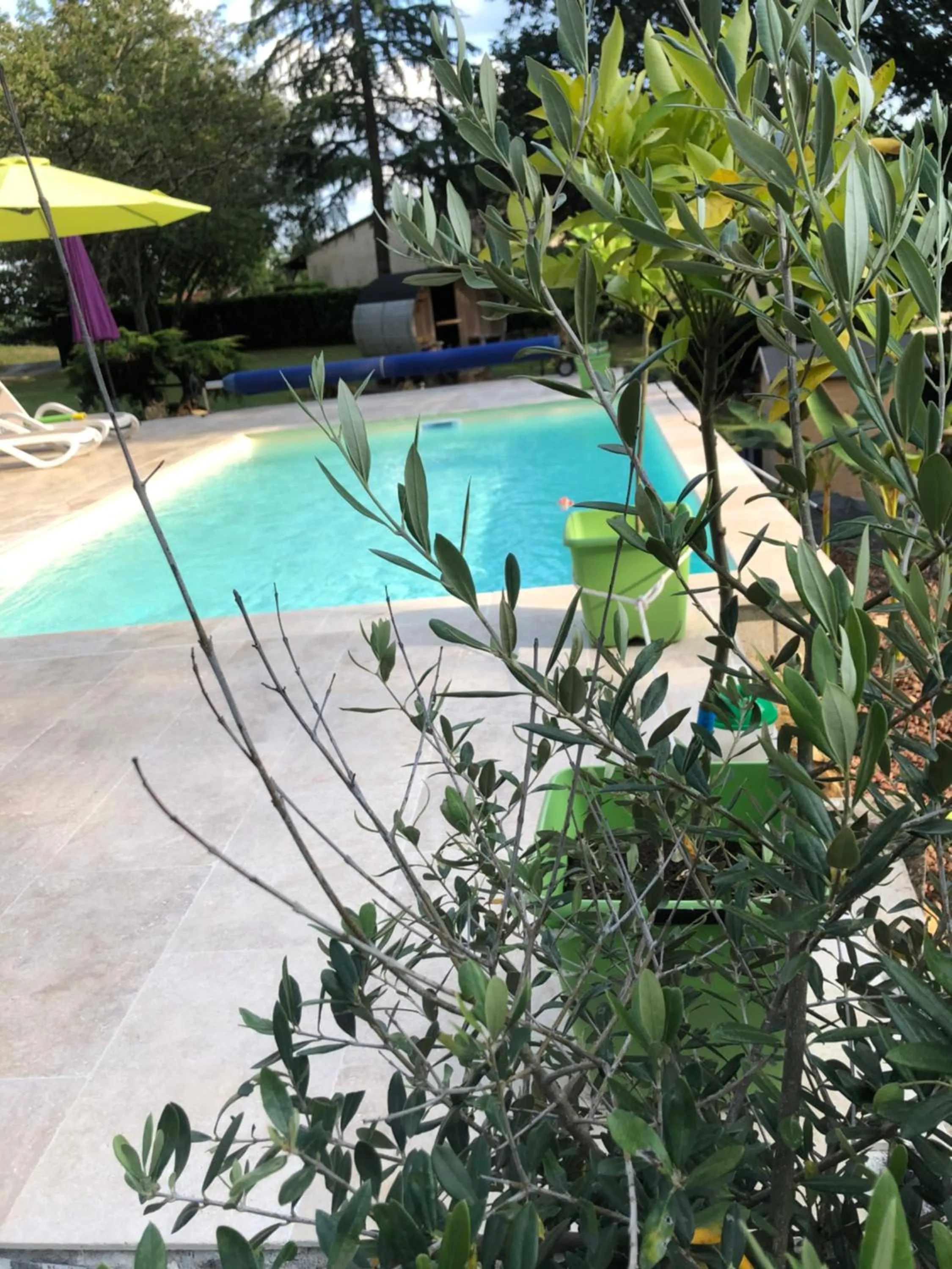 Swimming pool in Les plantous de Severo
