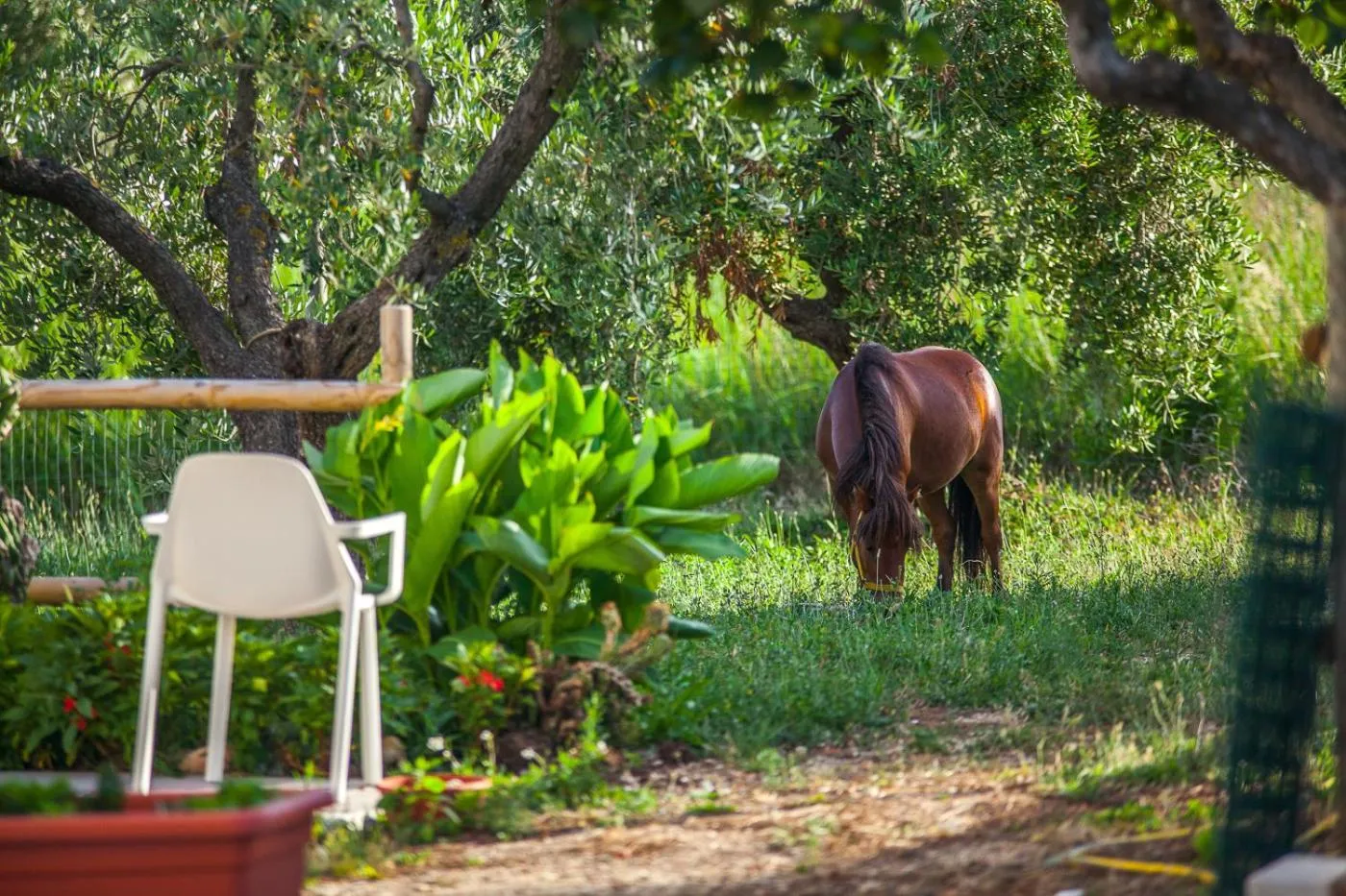 Garden in Il Gallo Con Gli Stivali