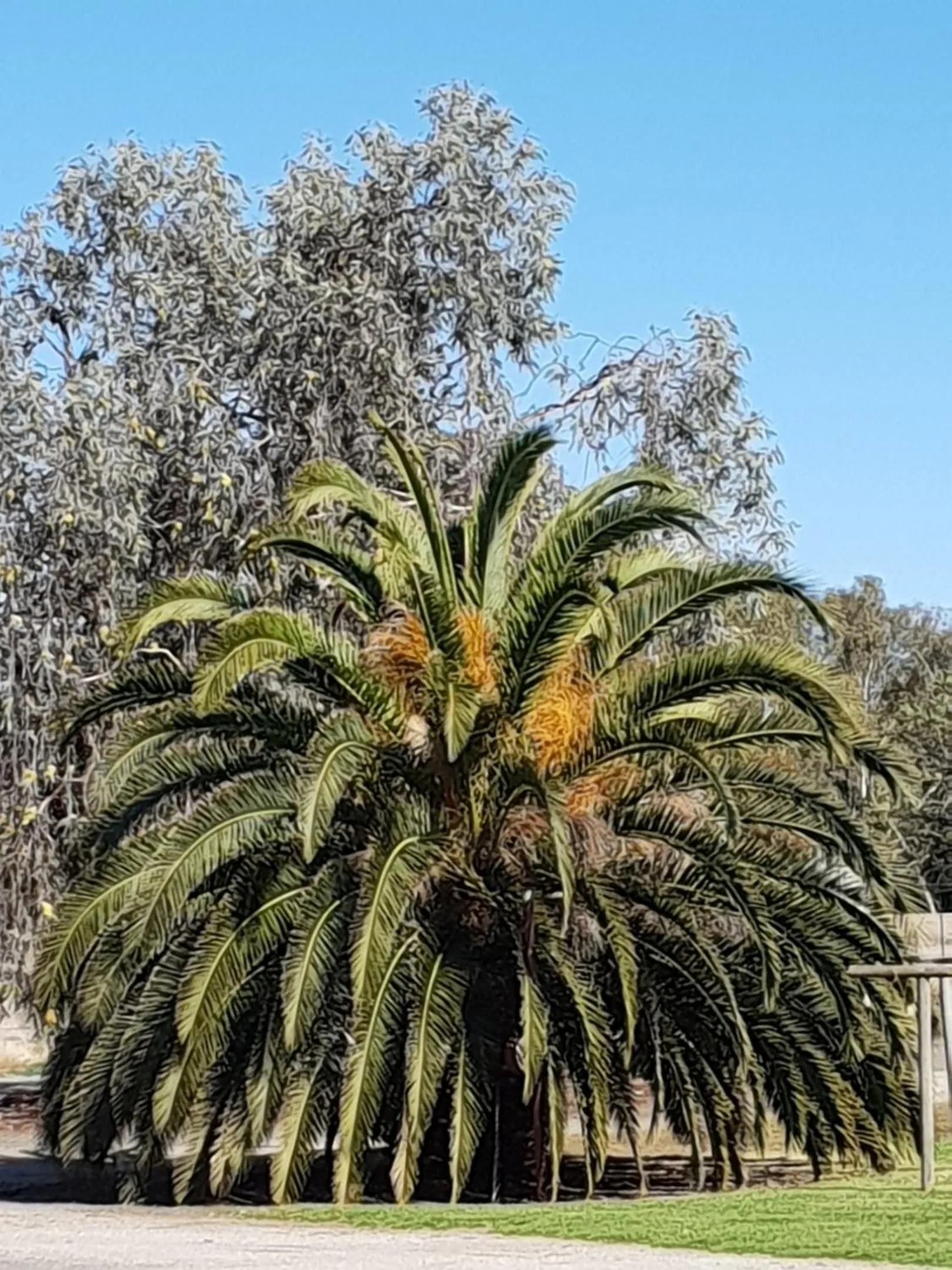 Area and facilities in Kerang Valley Resort