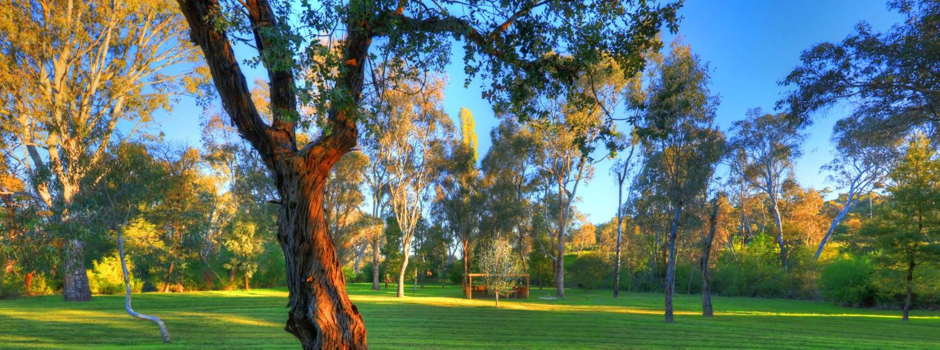 Yea Riverside Caravan Park