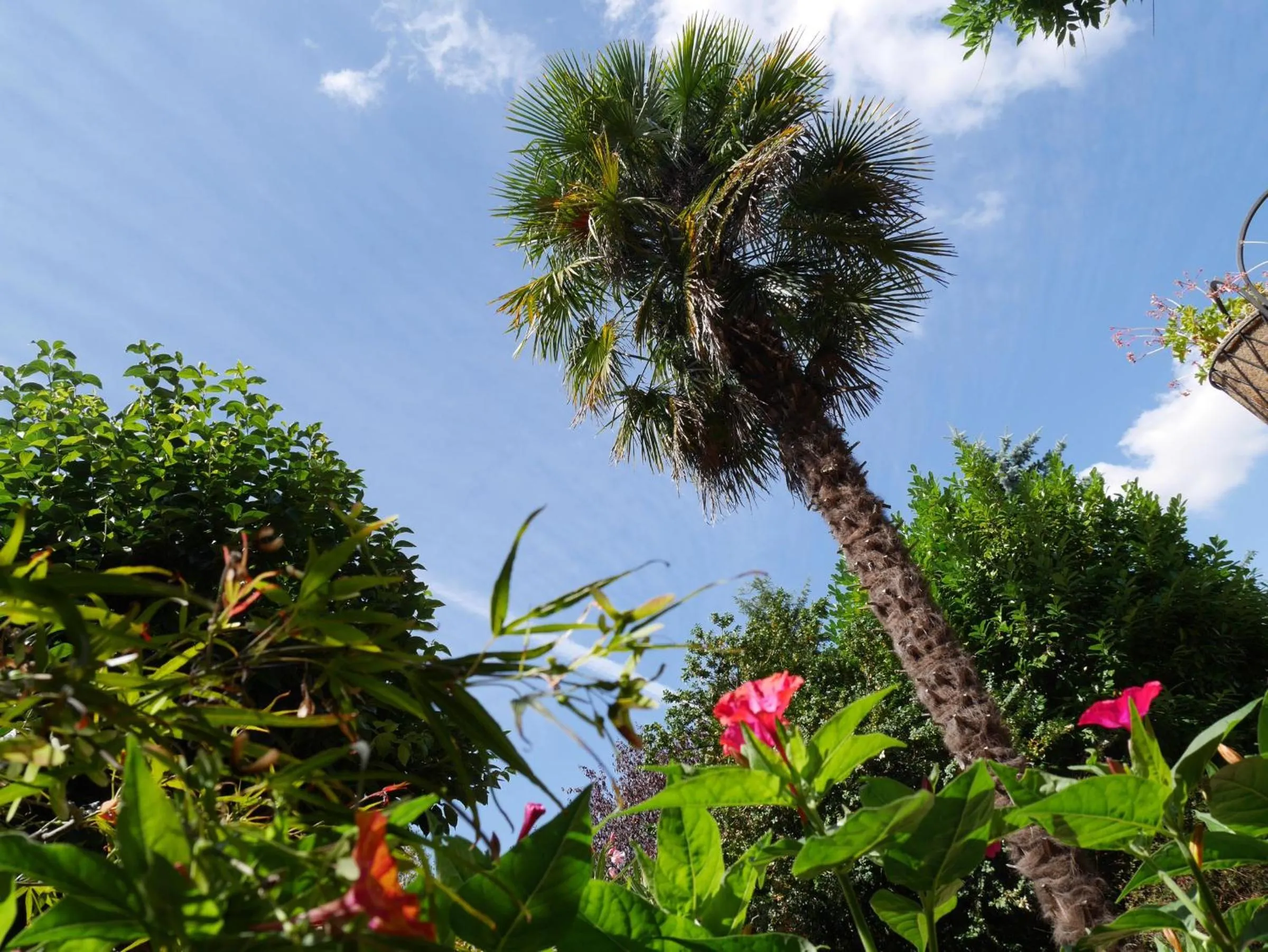 Garden in L'Arbre D'Ange