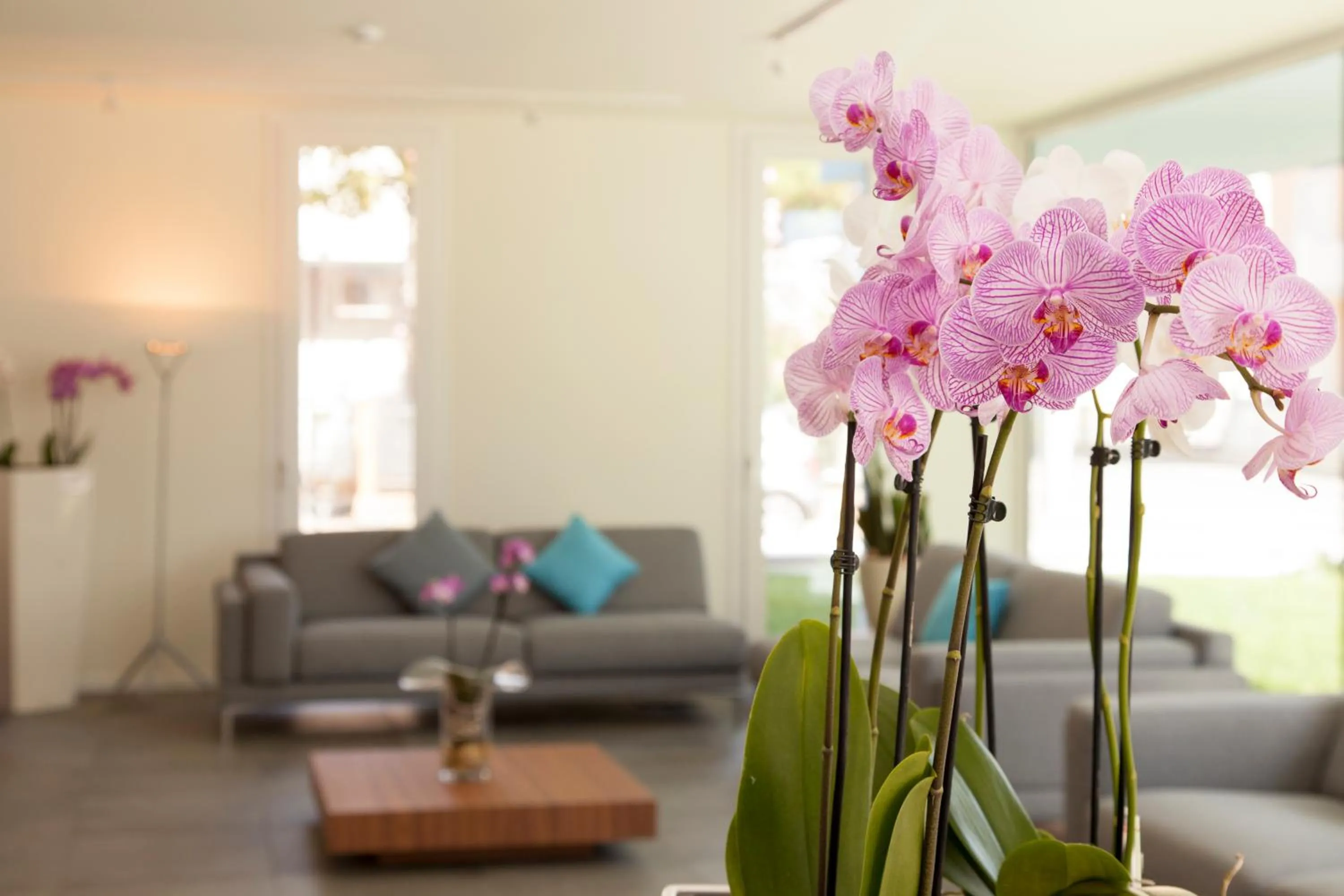 Living room in Residence Panama