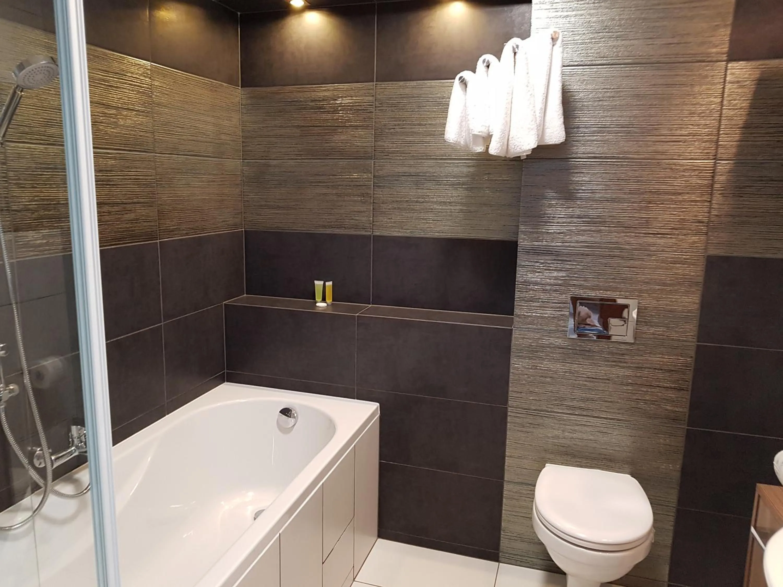 Toilet in Pod Kominem Pokoje i Apartamenty