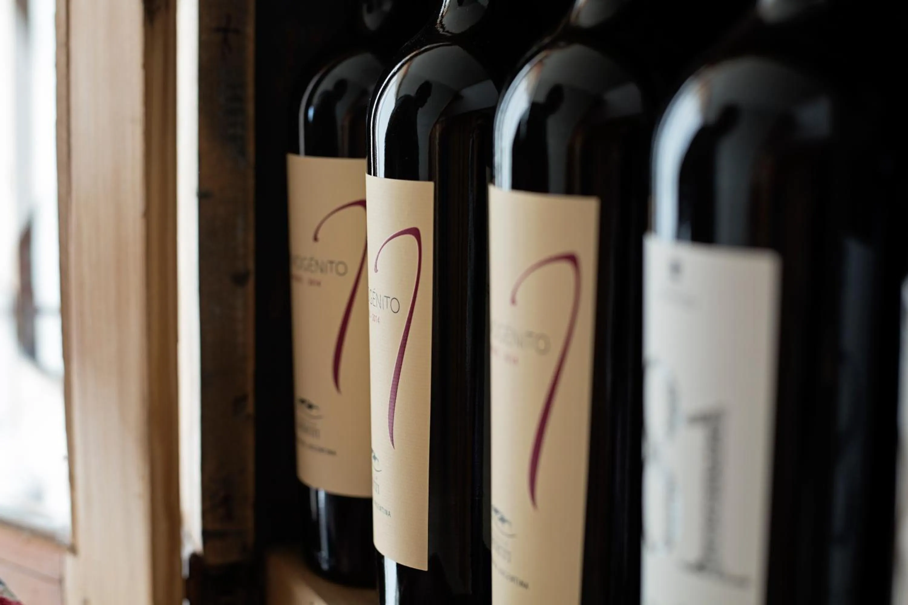 Other in Rayentray Océano