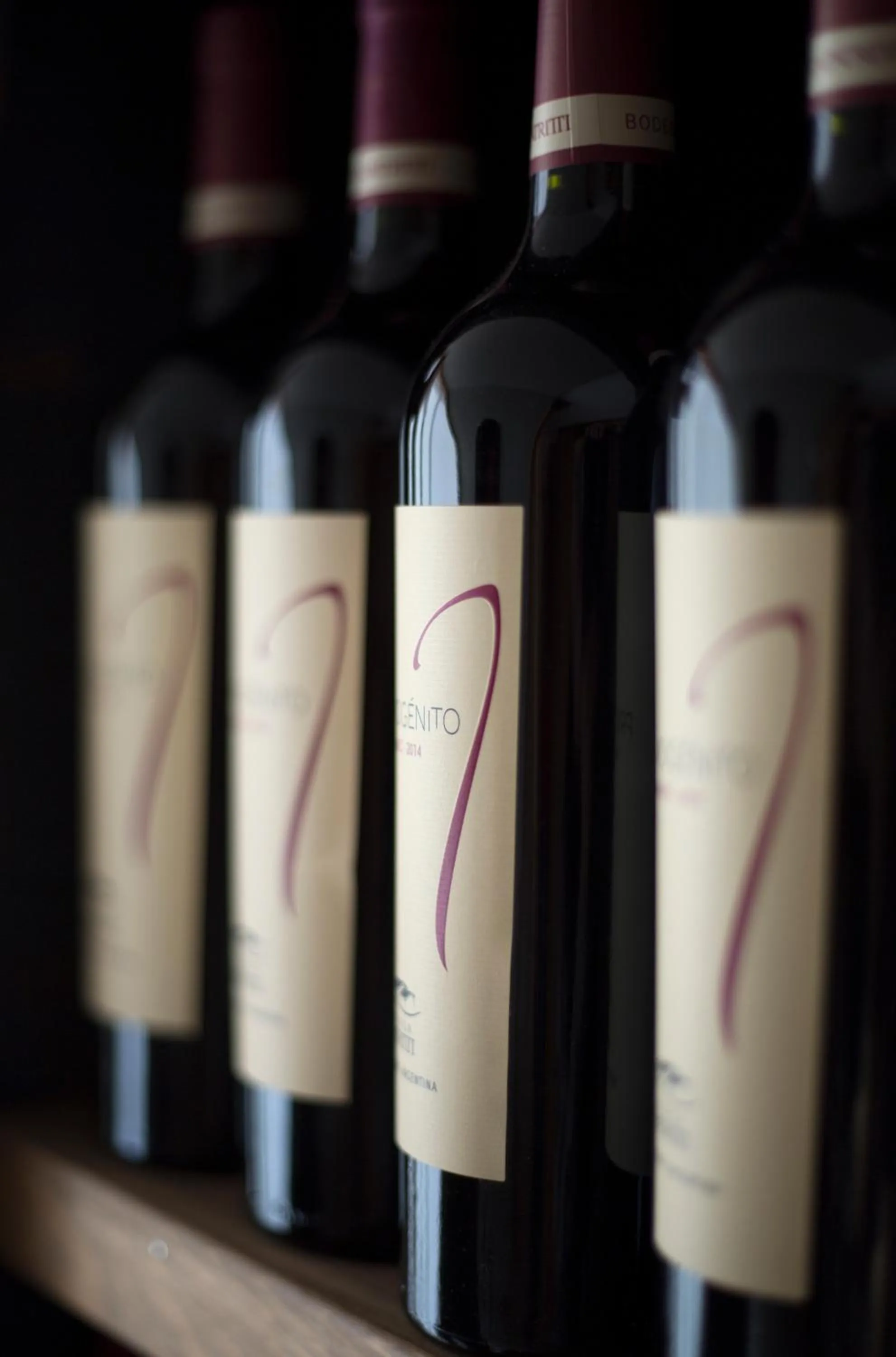 Other in Rayentray Océano