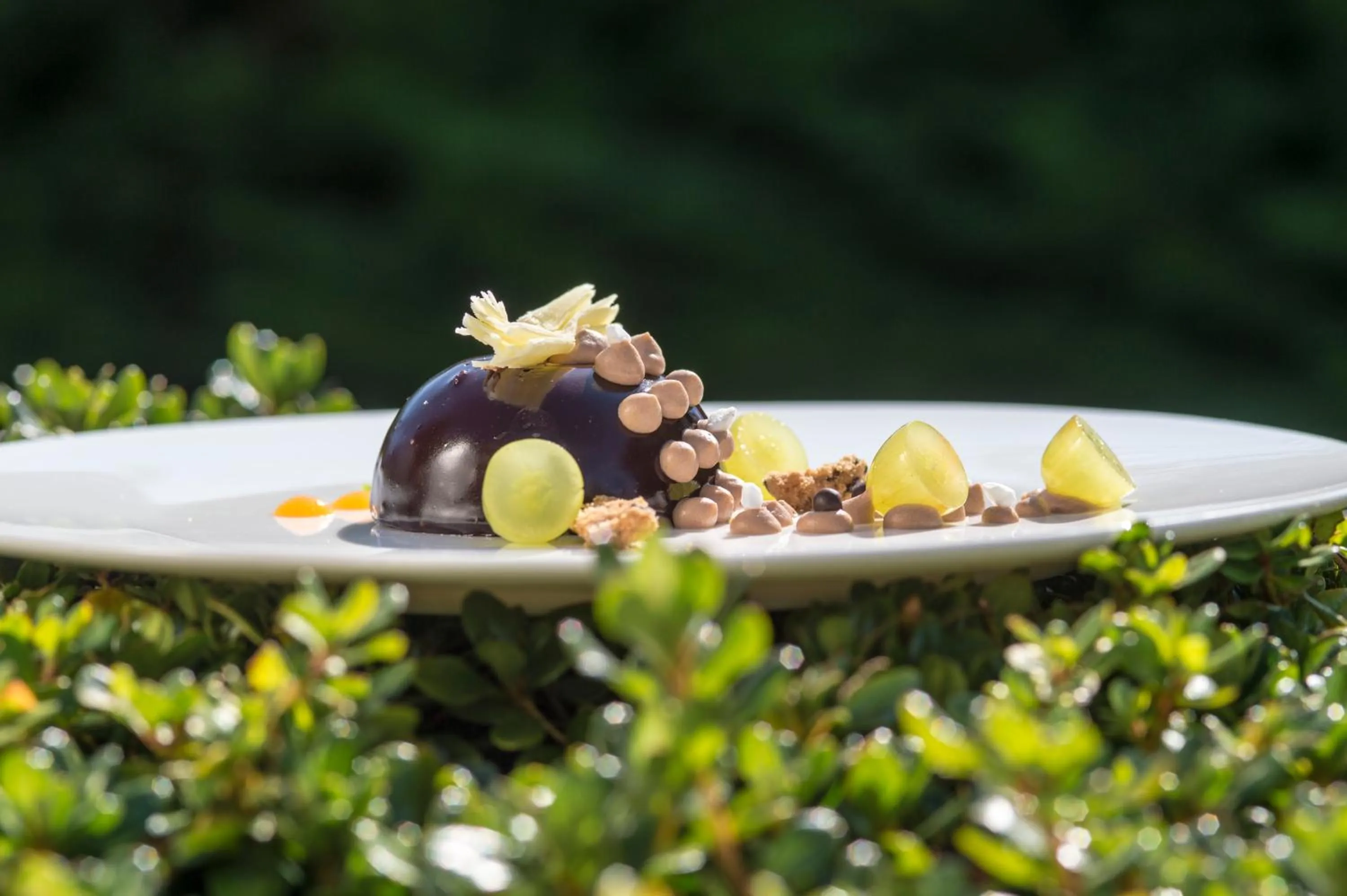 Food close-up in Hotel Sonnbichl