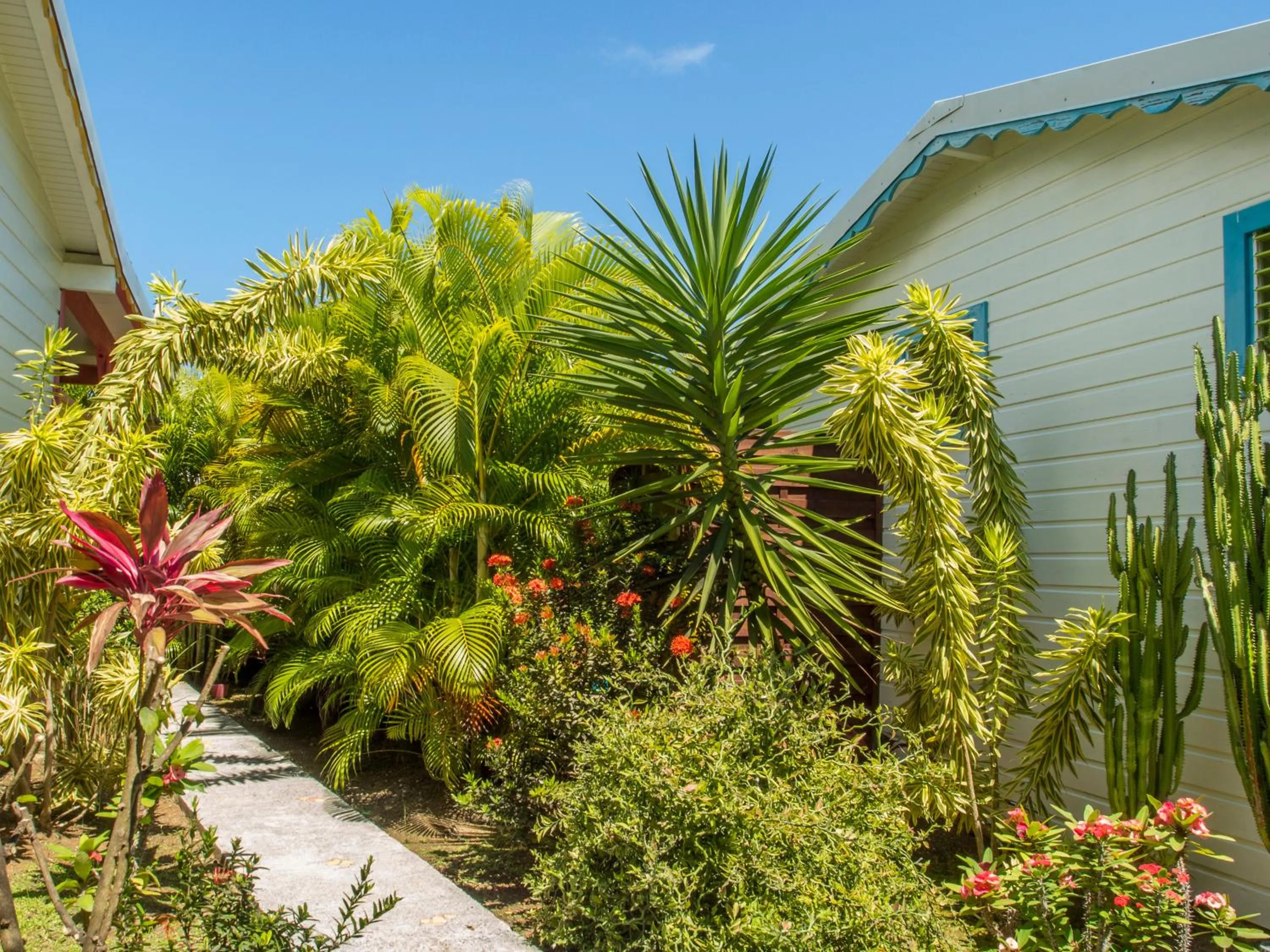 Coco Bungalows