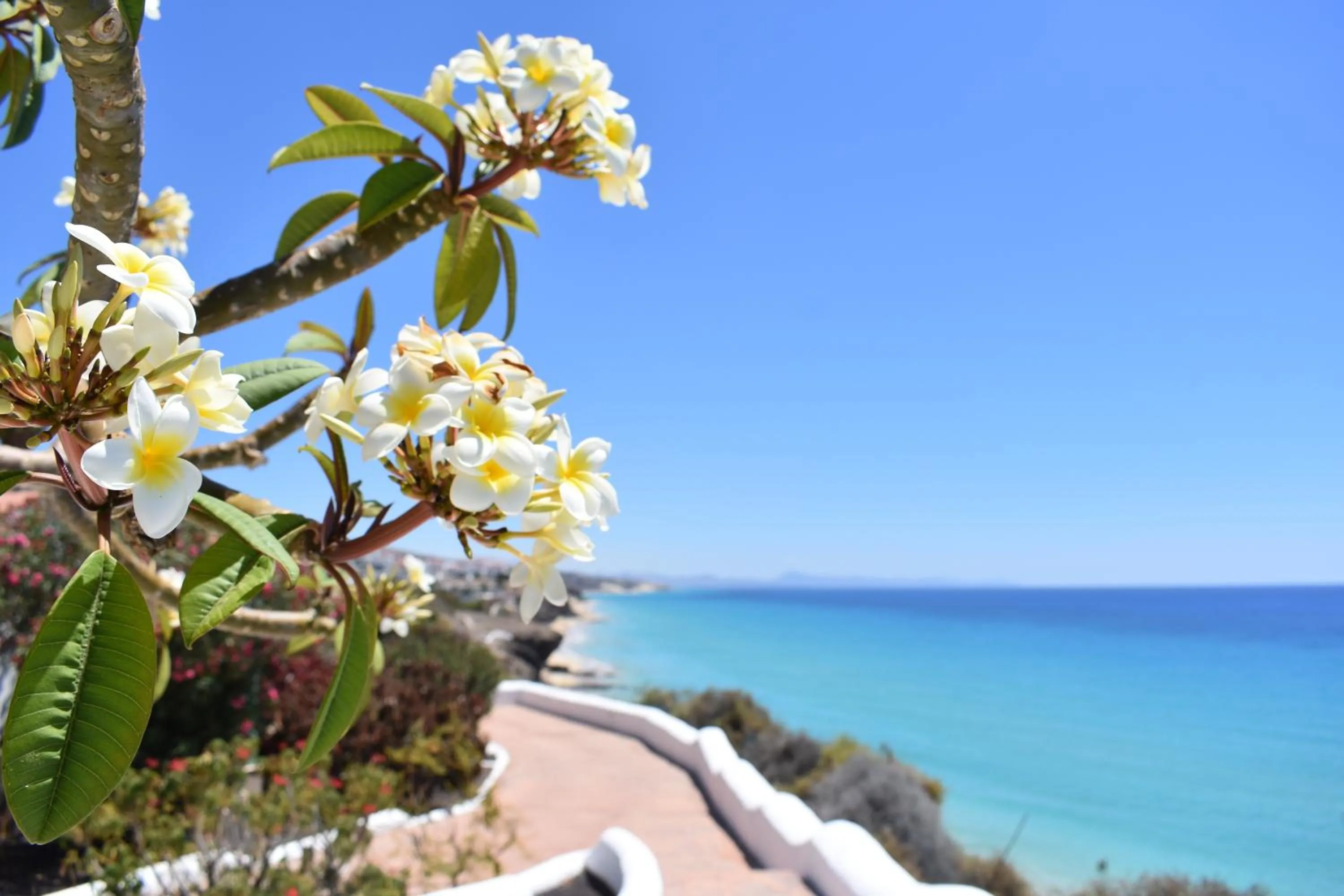 Natural landscape in Aldiana Club Fuerteventura