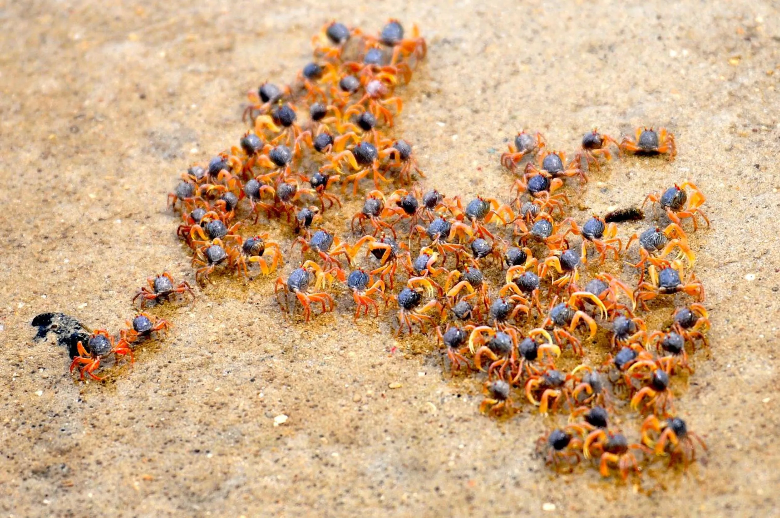 Natural landscape in LooLa Adventure Resort