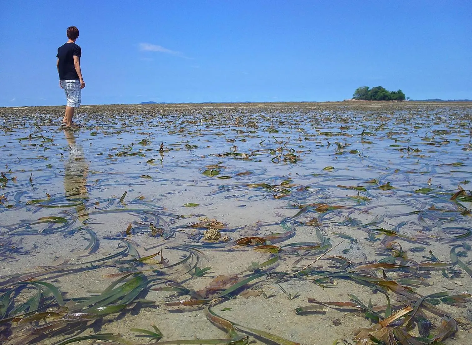 People in LooLa Adventure Resort