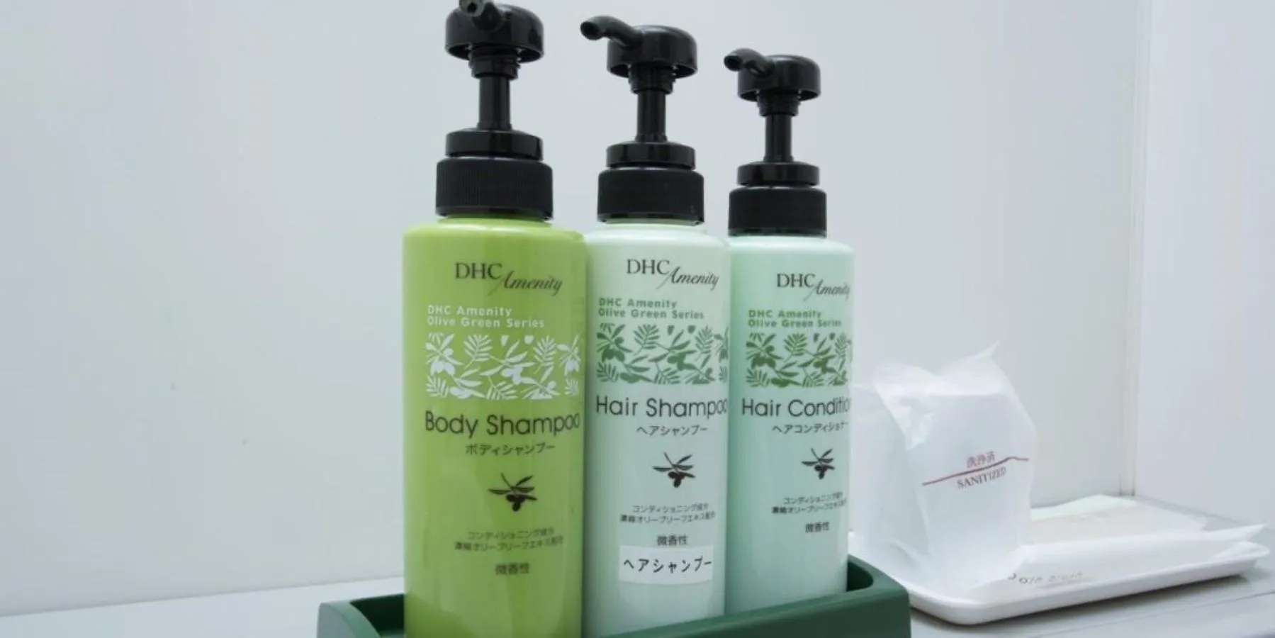 Area and facilities in Center Hotel Toyota