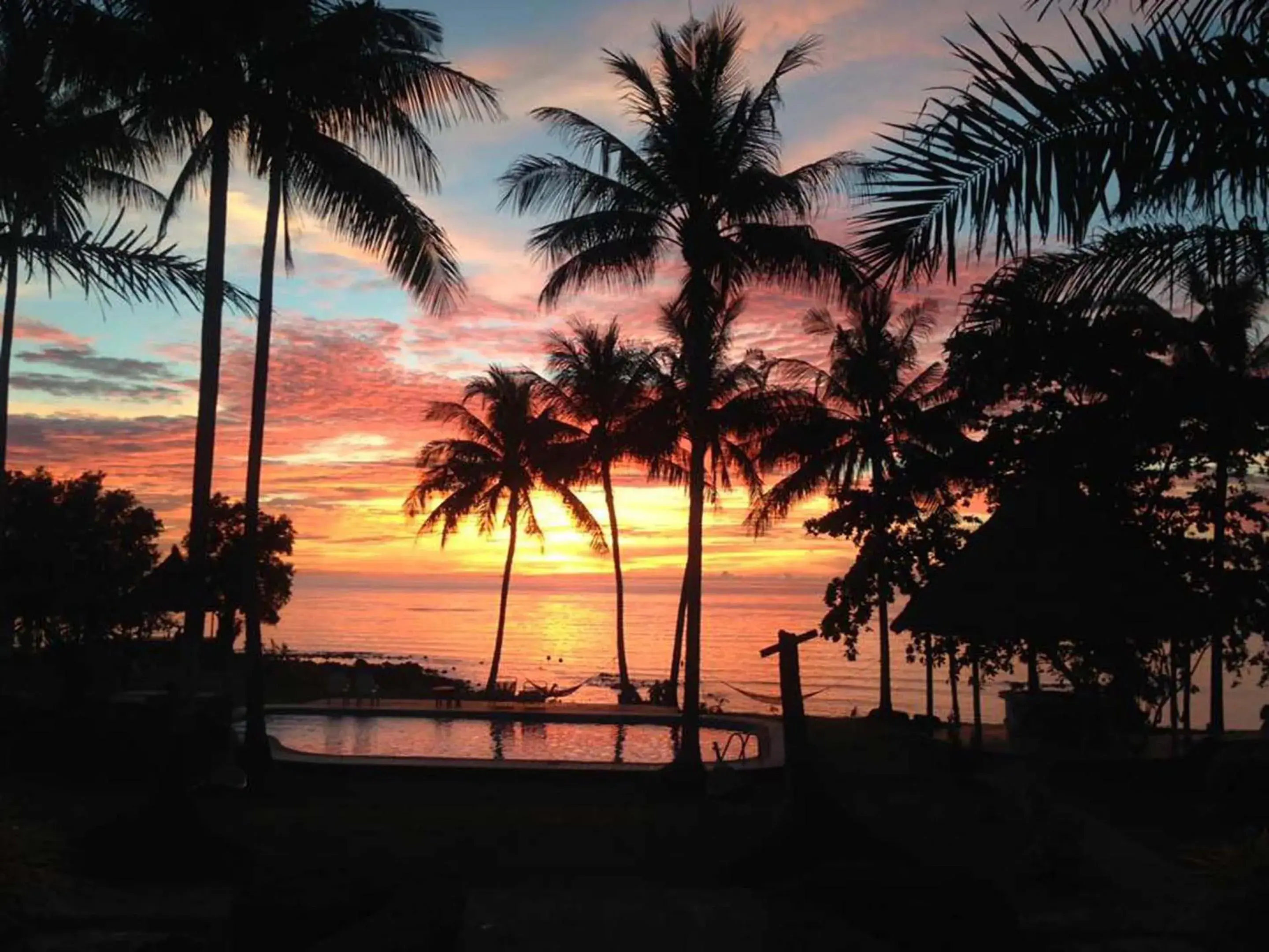 Garden view in Elephant Bay Resort Garden view in Elephant Bay Resort