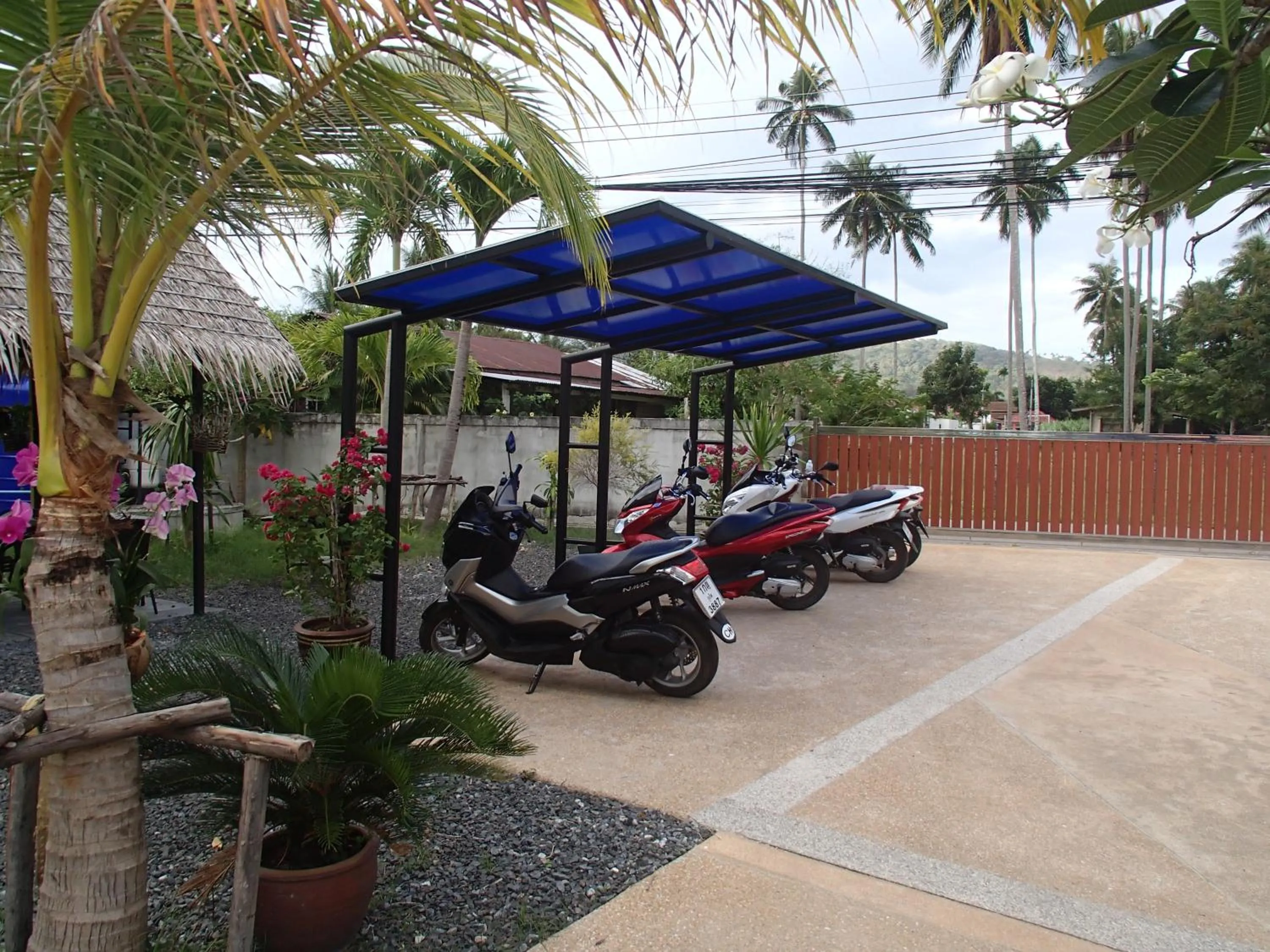 Garden in Coconoi Residence