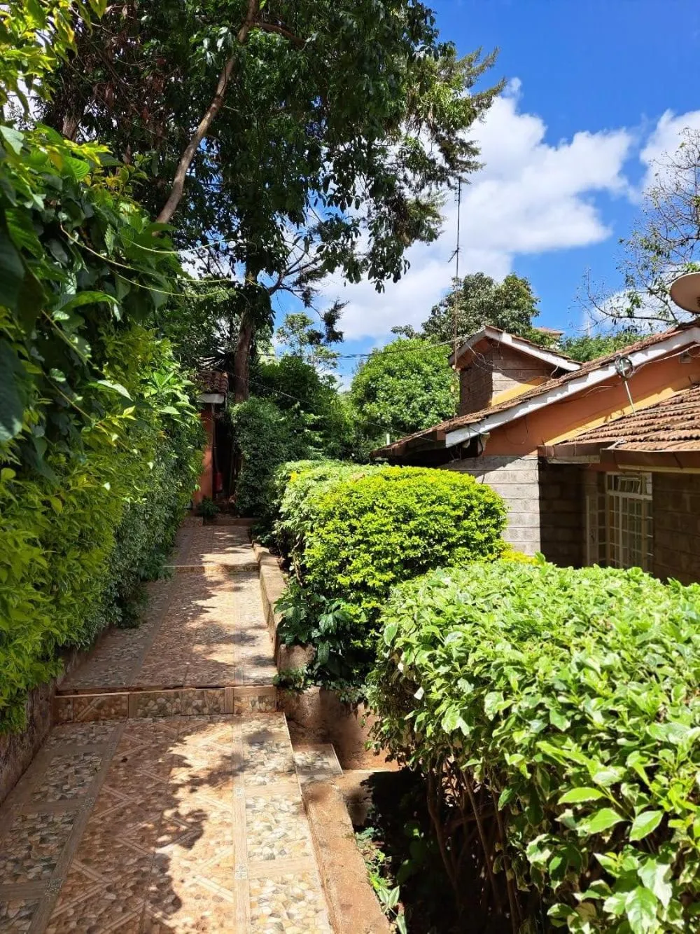 Garden in Rosslyn Studios