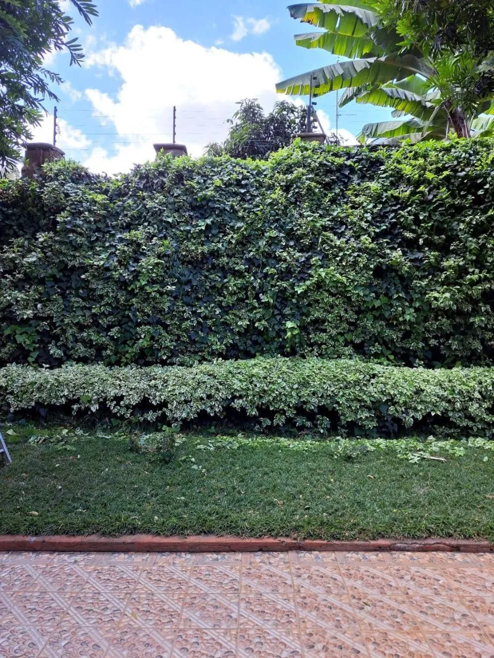 Natural landscape in Rosslyn Studios