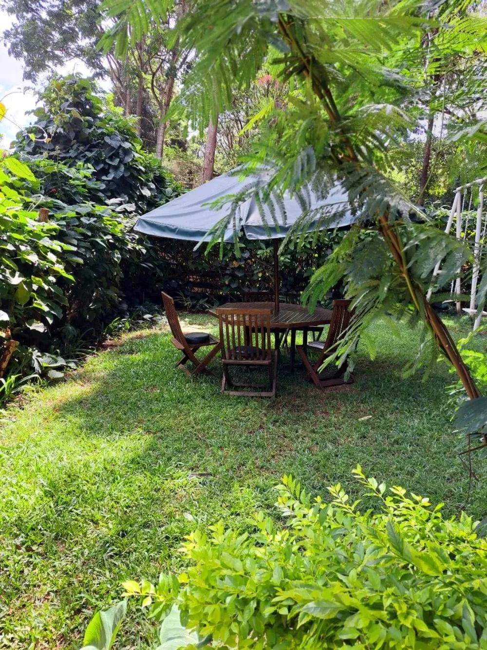 Natural landscape in Rosslyn Studios