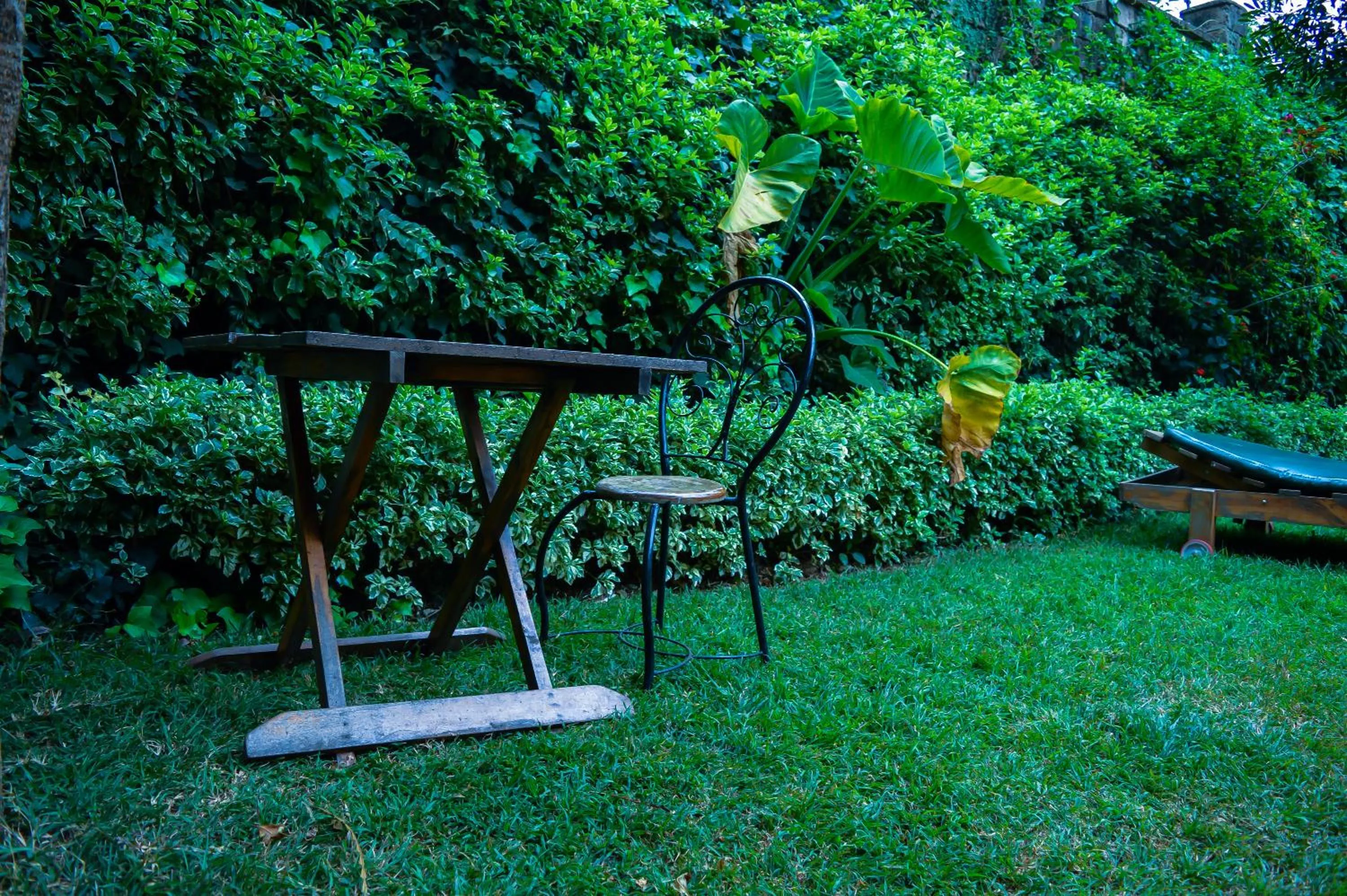 Garden in Rosslyn Studios
