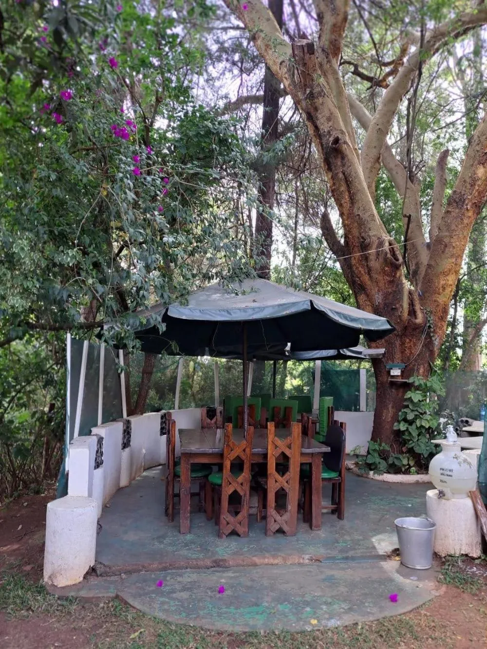 Spring in Rosslyn Studios