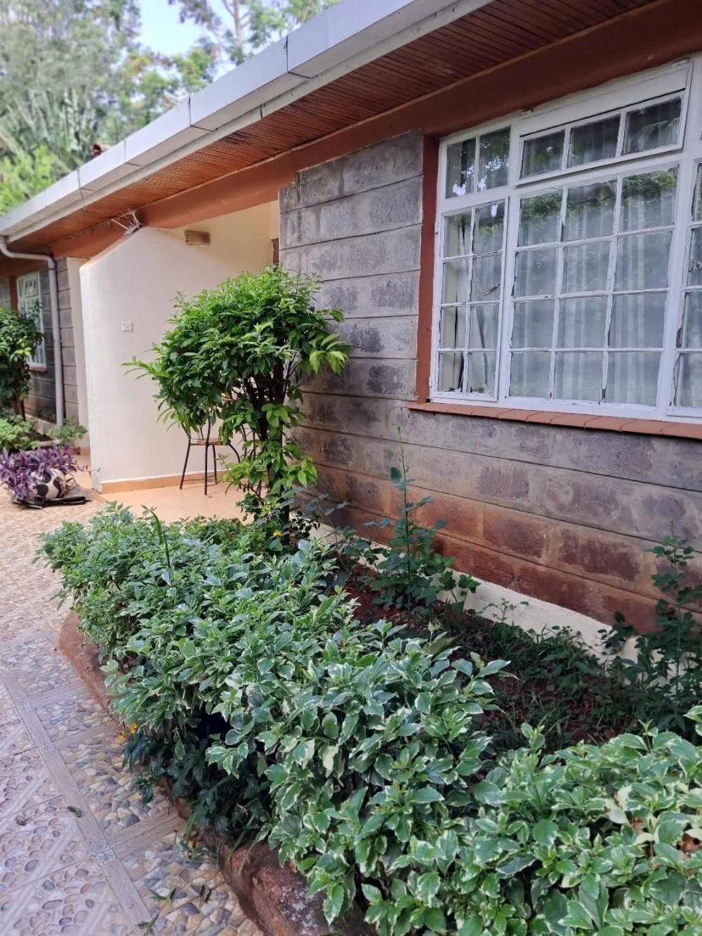 Garden in Rosslyn Studios