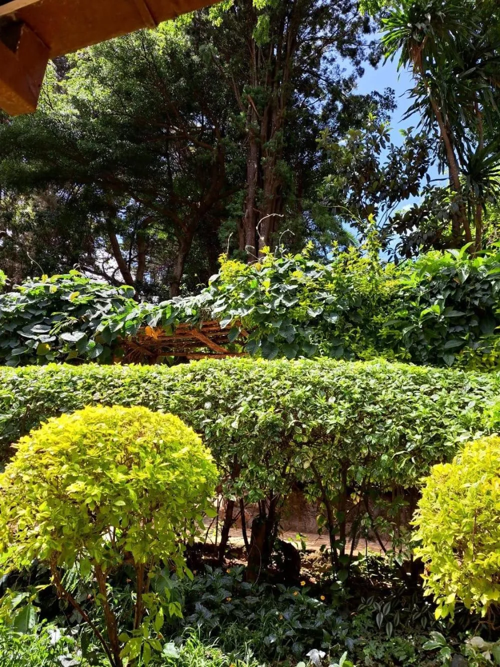 Day in Rosslyn Studios