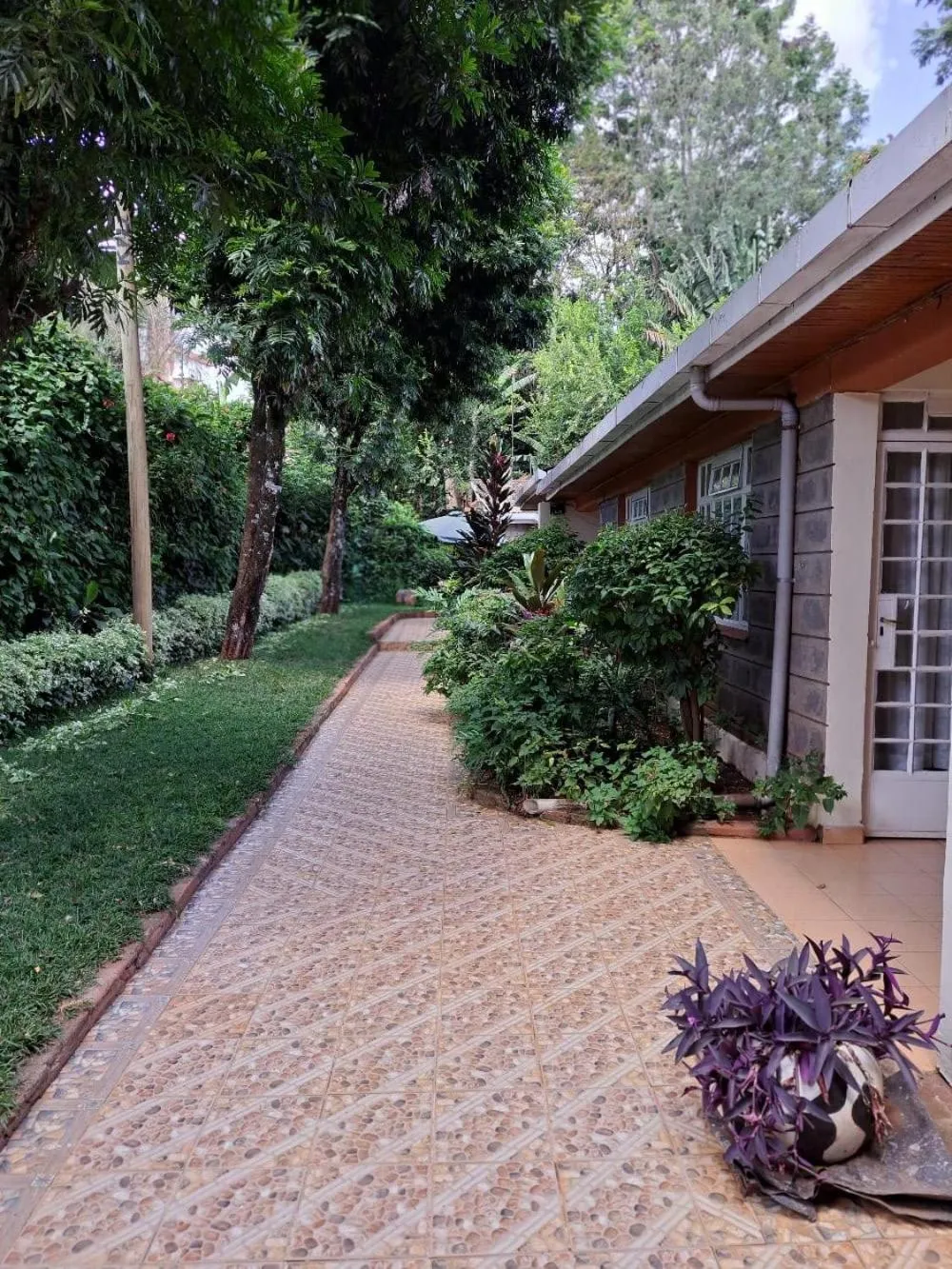 Garden view in Rosslyn Studios