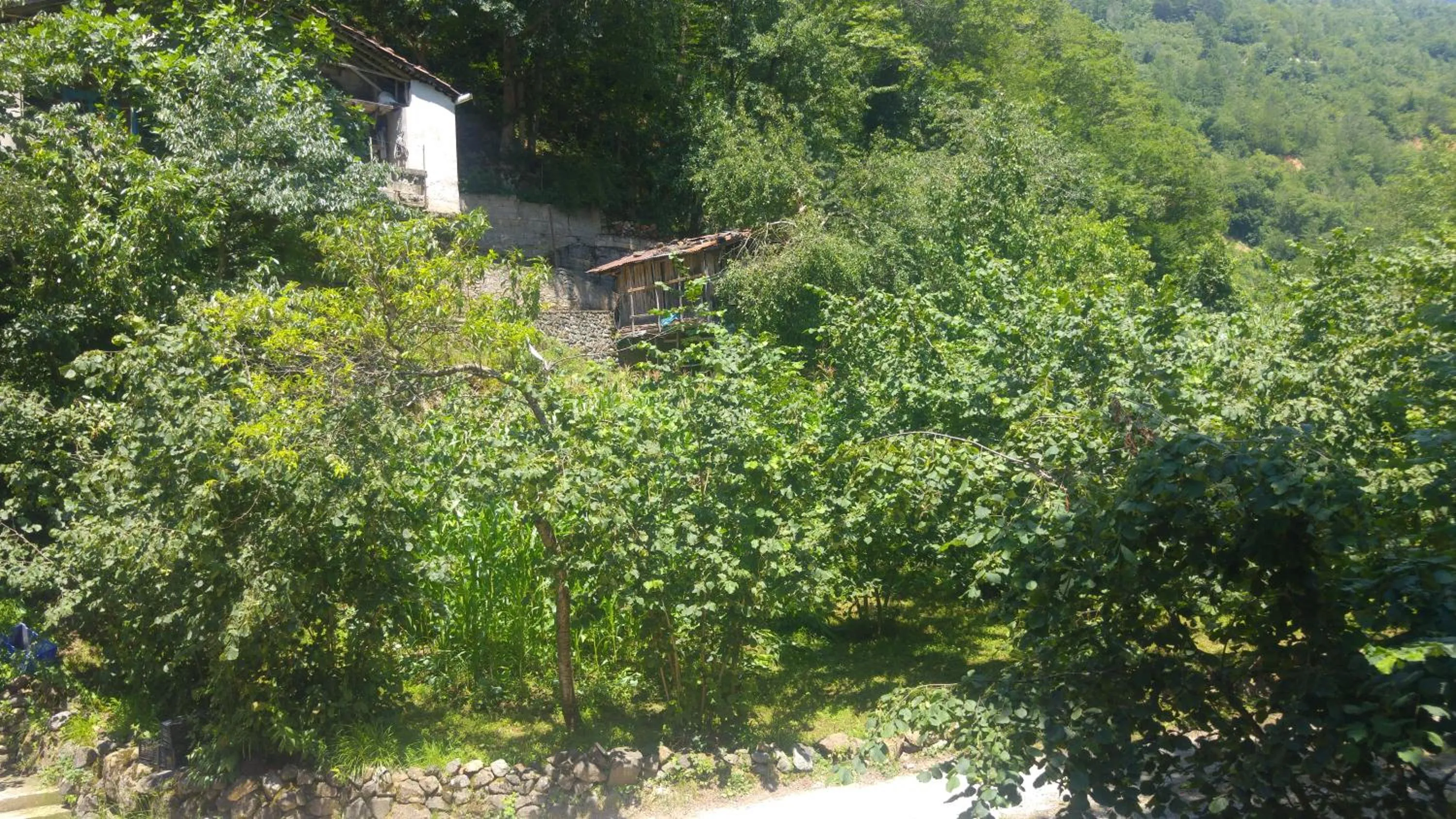 Mountain view in Isikli Kale Hotel