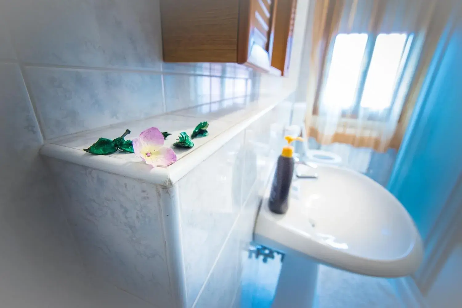 Large Double or Twin Room - single occupancy in Adria Bella LT Z00157 Large Double or Twin Room - single occupancy in Adria Bella LT Z00157