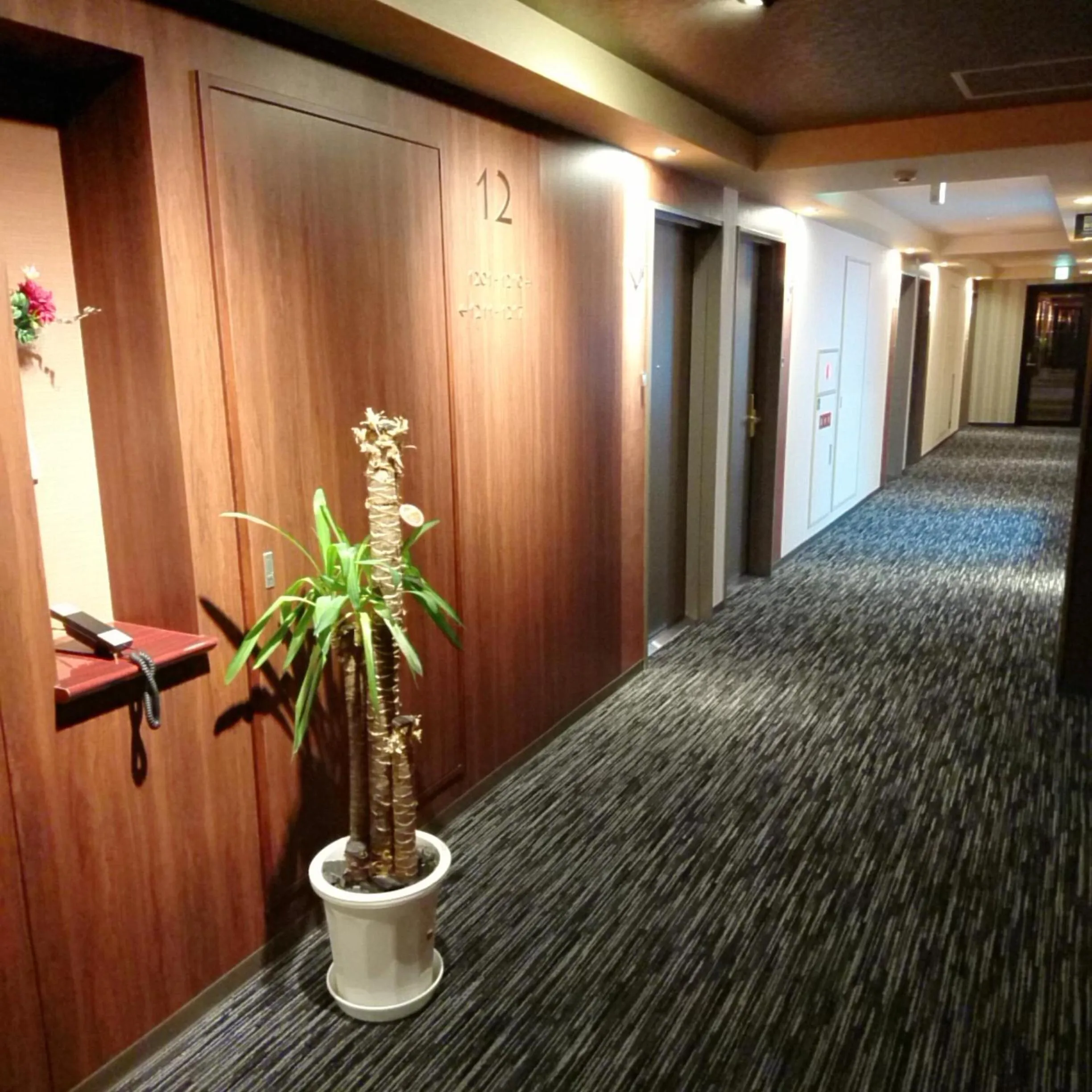 Area and facilities in Queens Hotel Chitose