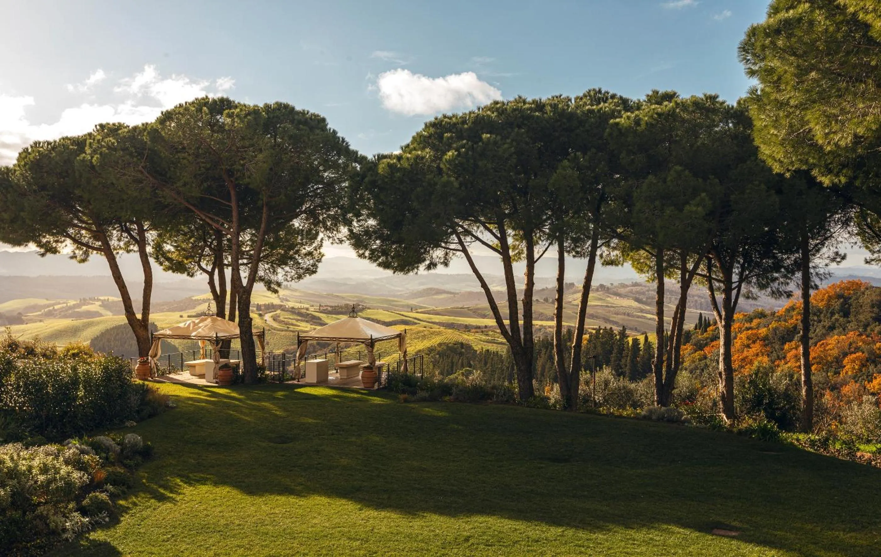 View (from property/room) in Castelfalfi