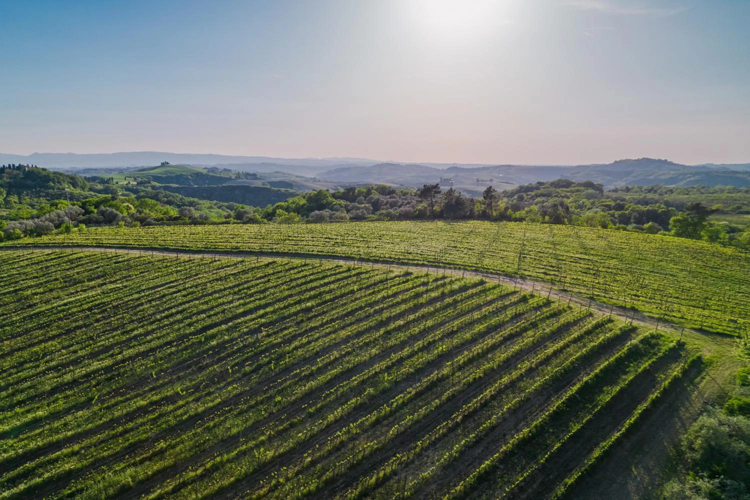 Other in Castelfalfi