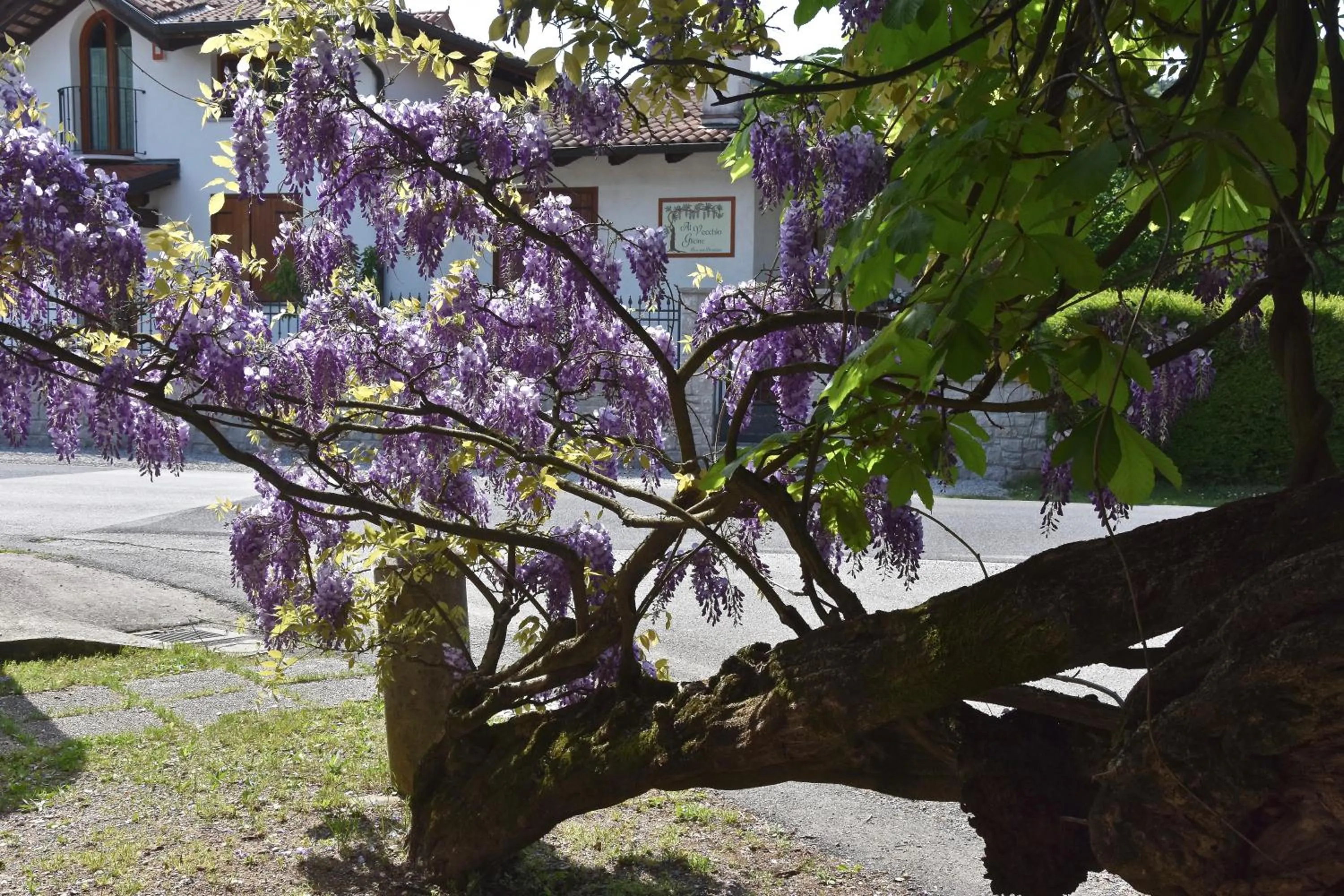 Property building in Al Vecchio Glicine