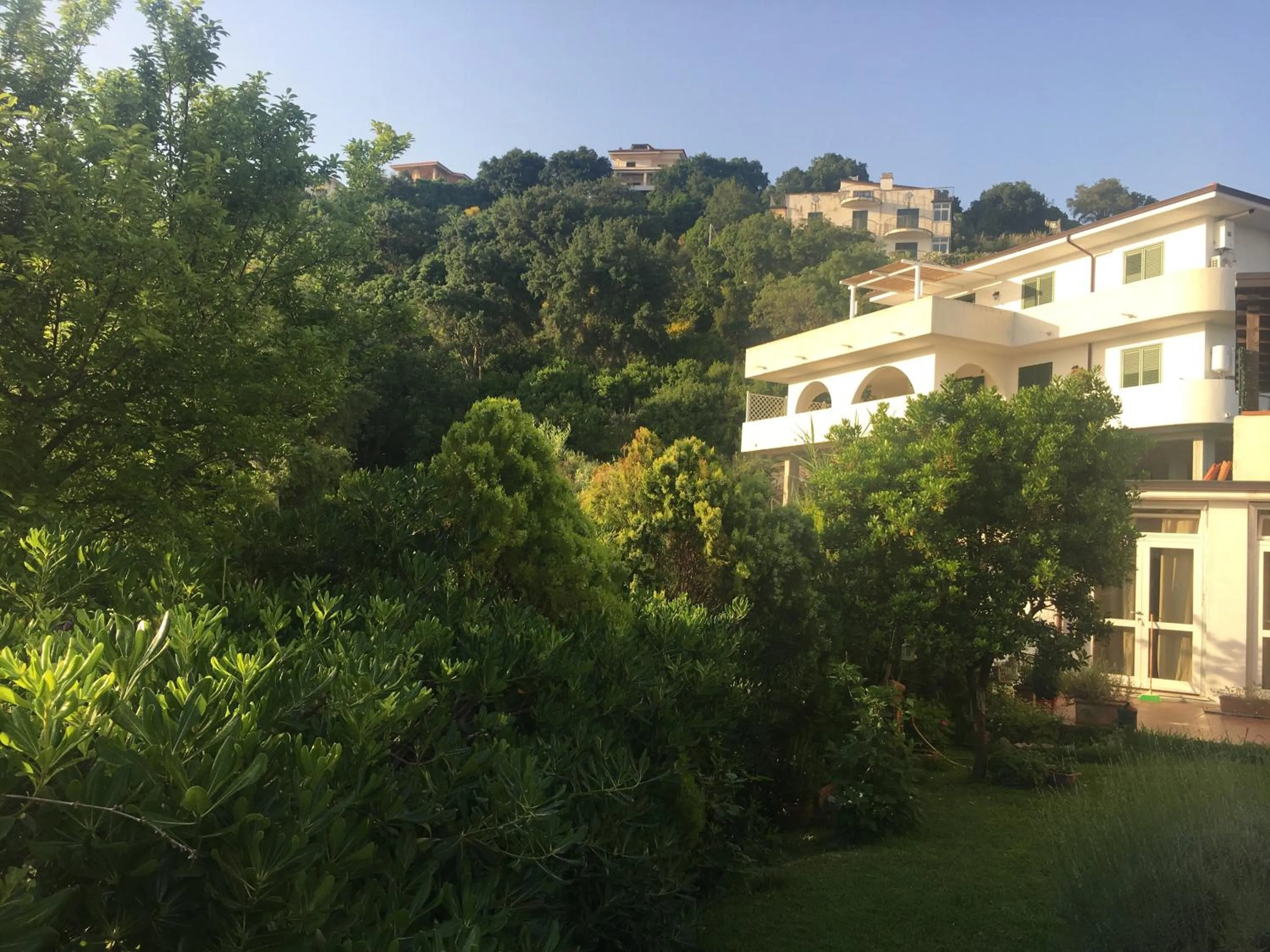 La Bouganville