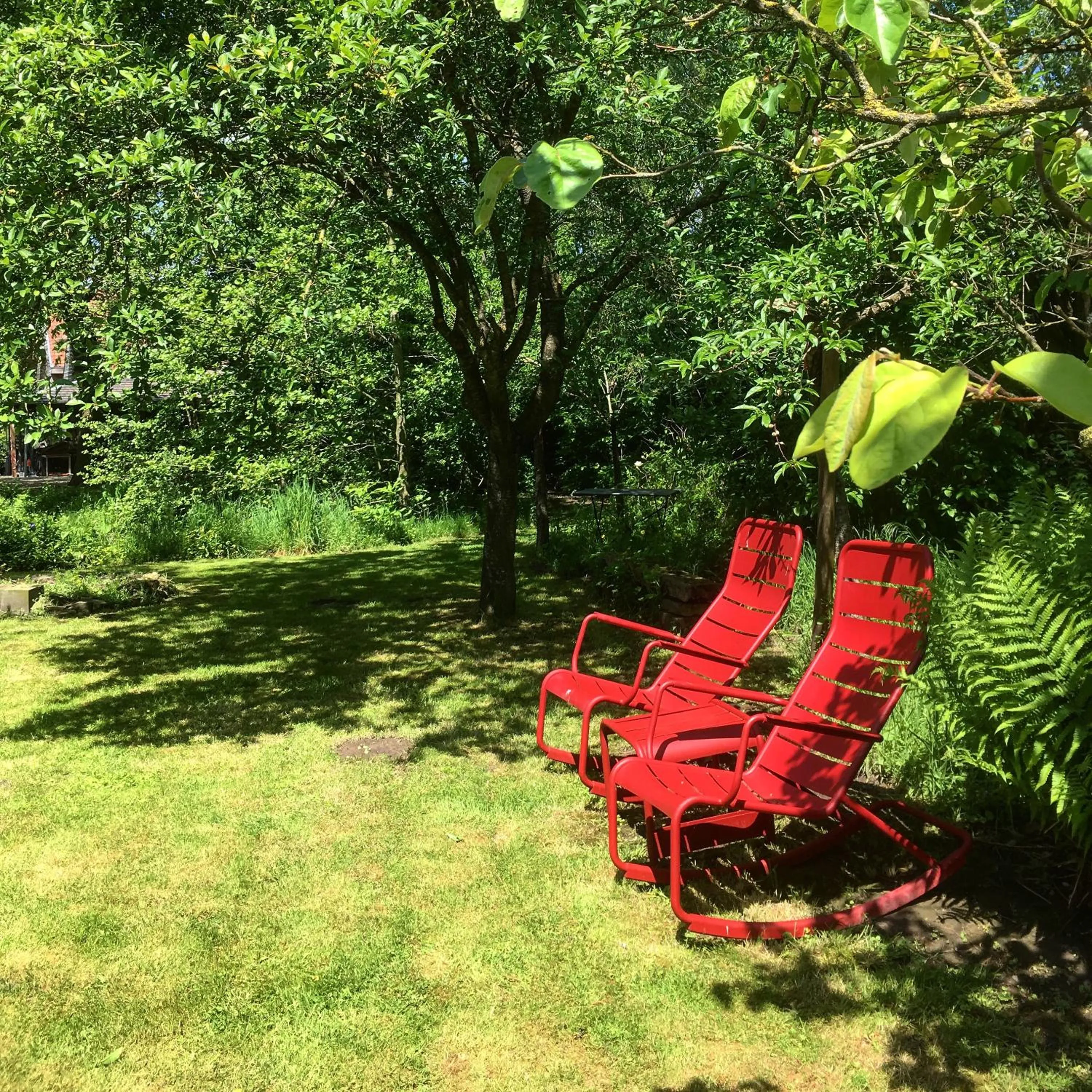 Garden in De Weide Wereld