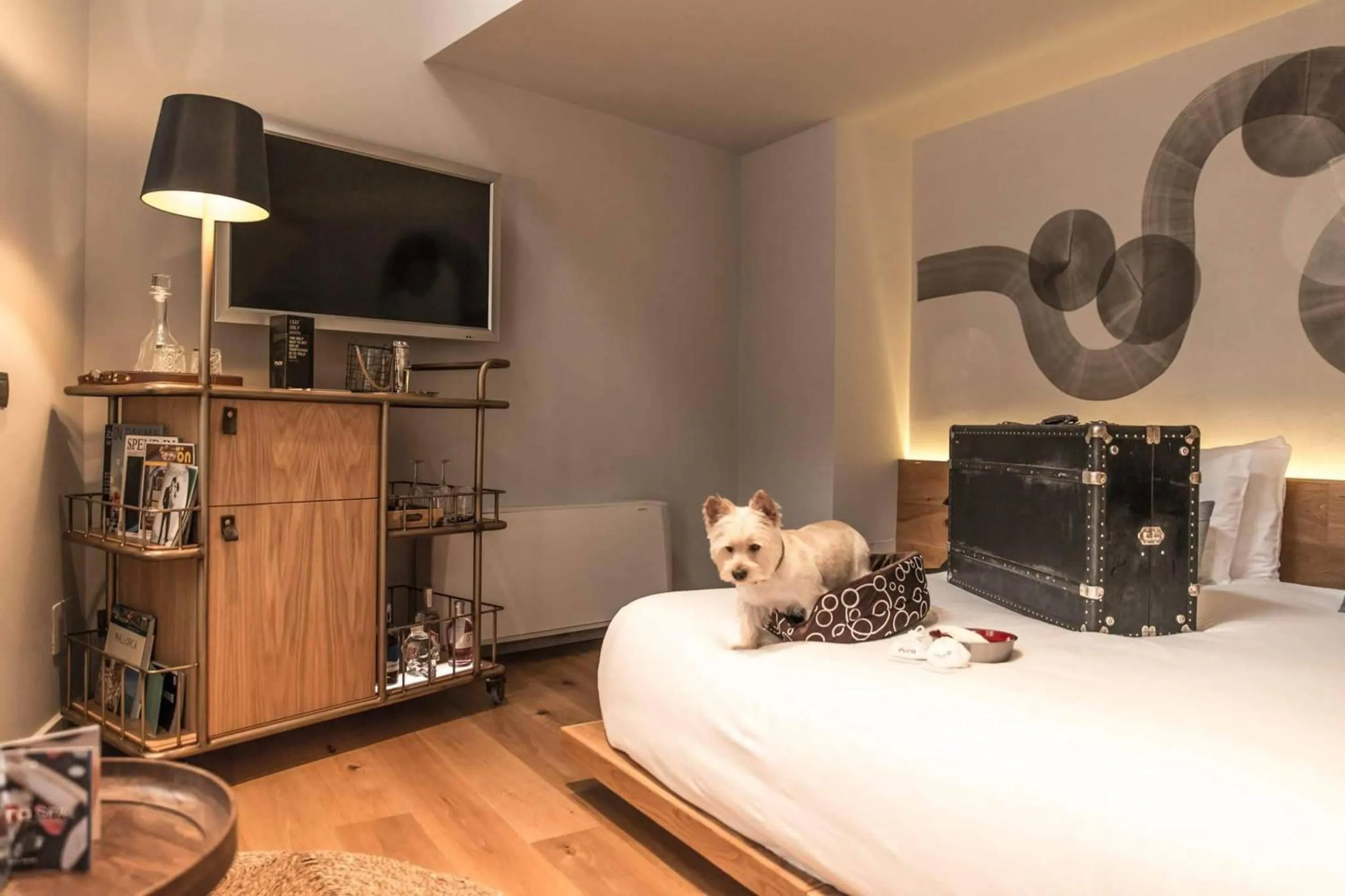 Pets, Bed in Puro Hotel Oasis Urbano