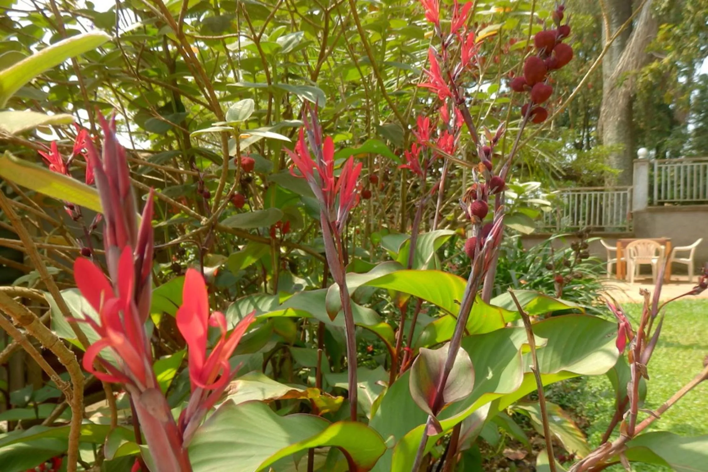 Garden in Dutchess Hotel and Restaurant