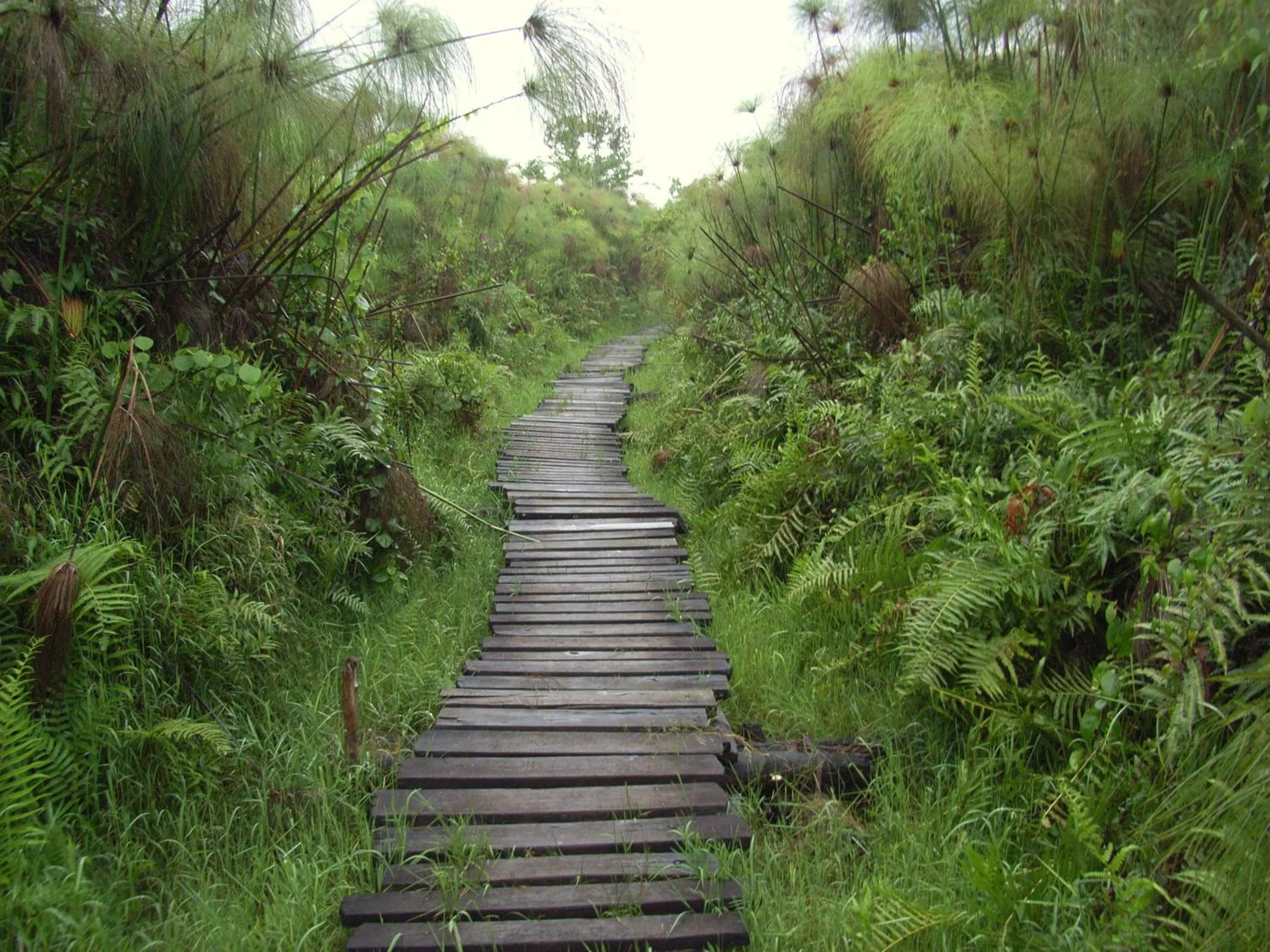 Hiking in Dutchess Hotel and Restaurant